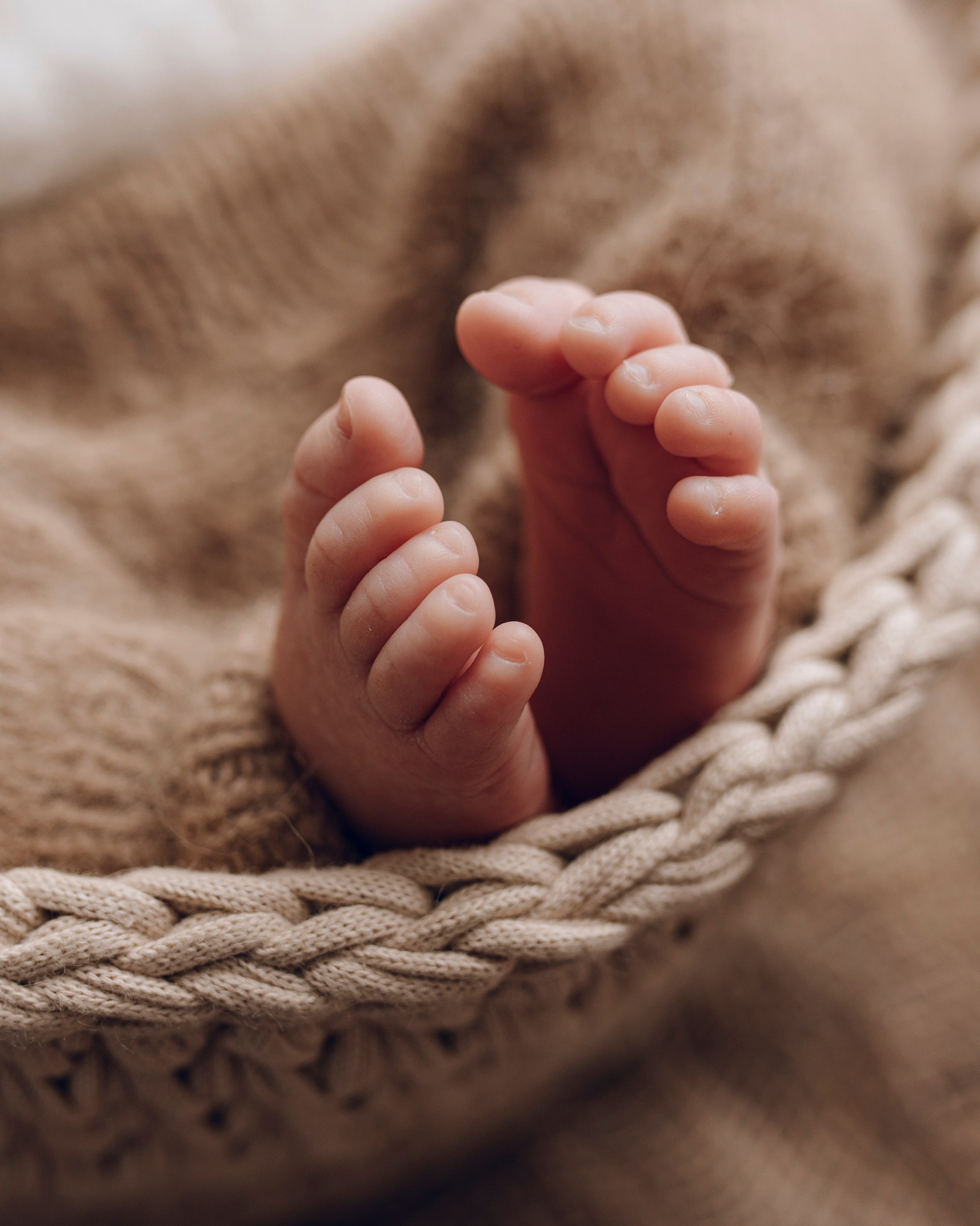 Услуги. Фотограф новорожденных в Москве и Московской области