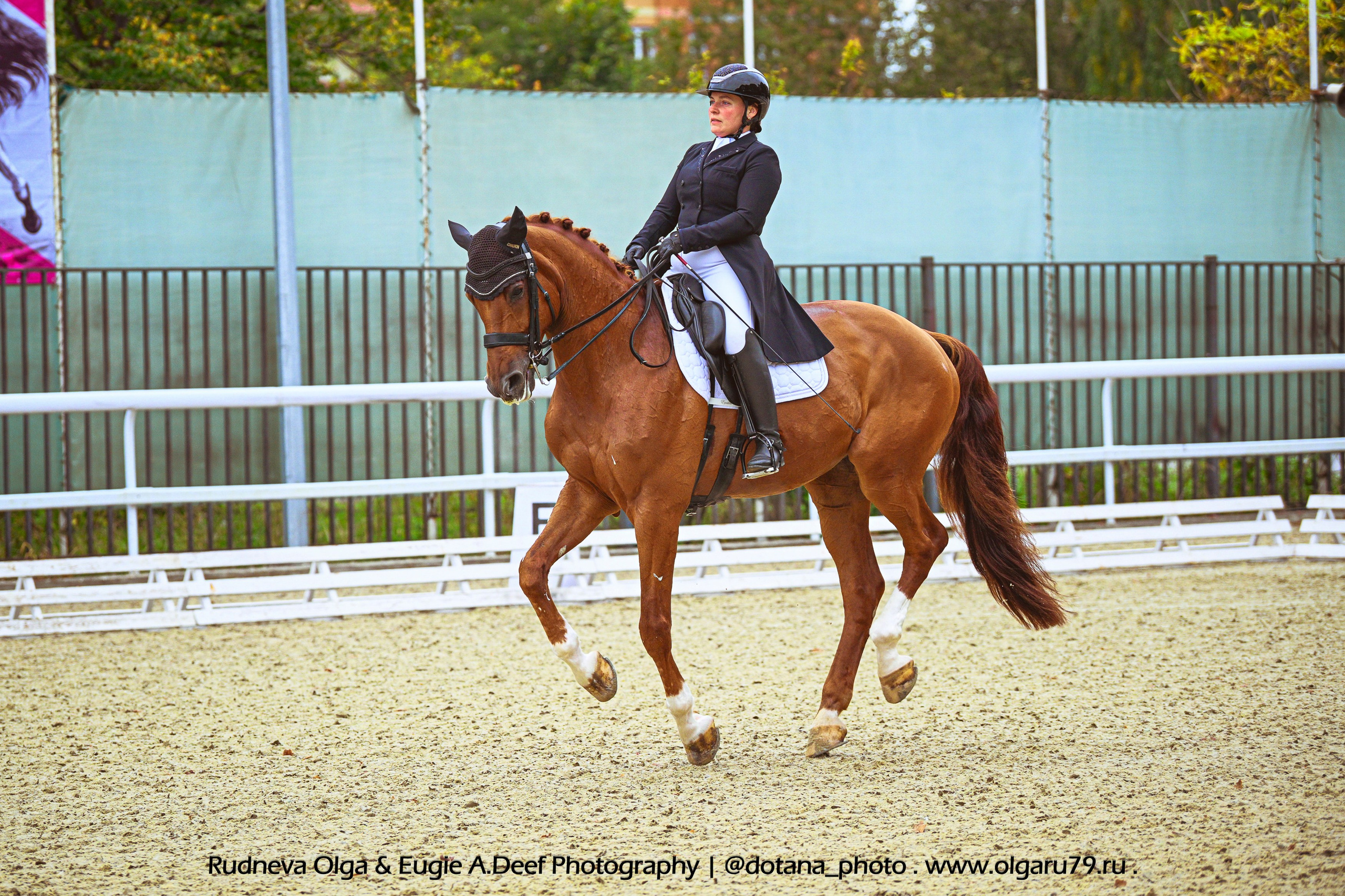 2025.09.27 и 28 — МКЗ№ 1 — Кубок Памяти Н. М. Шурыгина по конкуру и выездки. ТУРНИРНАЯ КОННАЯ ФОТОГРАФИЯ, Руднева Ольга и Евгений Адеев