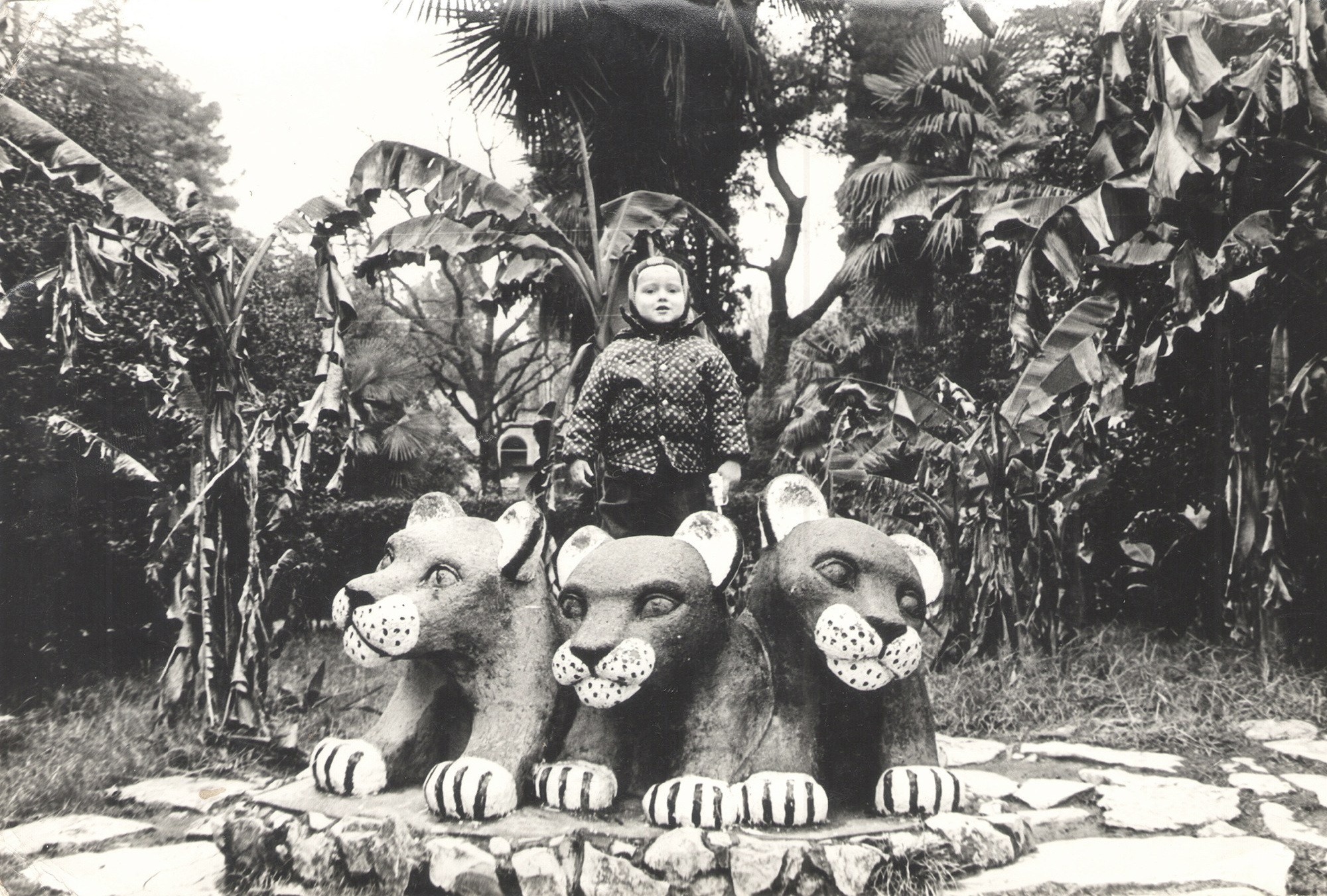 Фотография с пальмой. Курортное дело