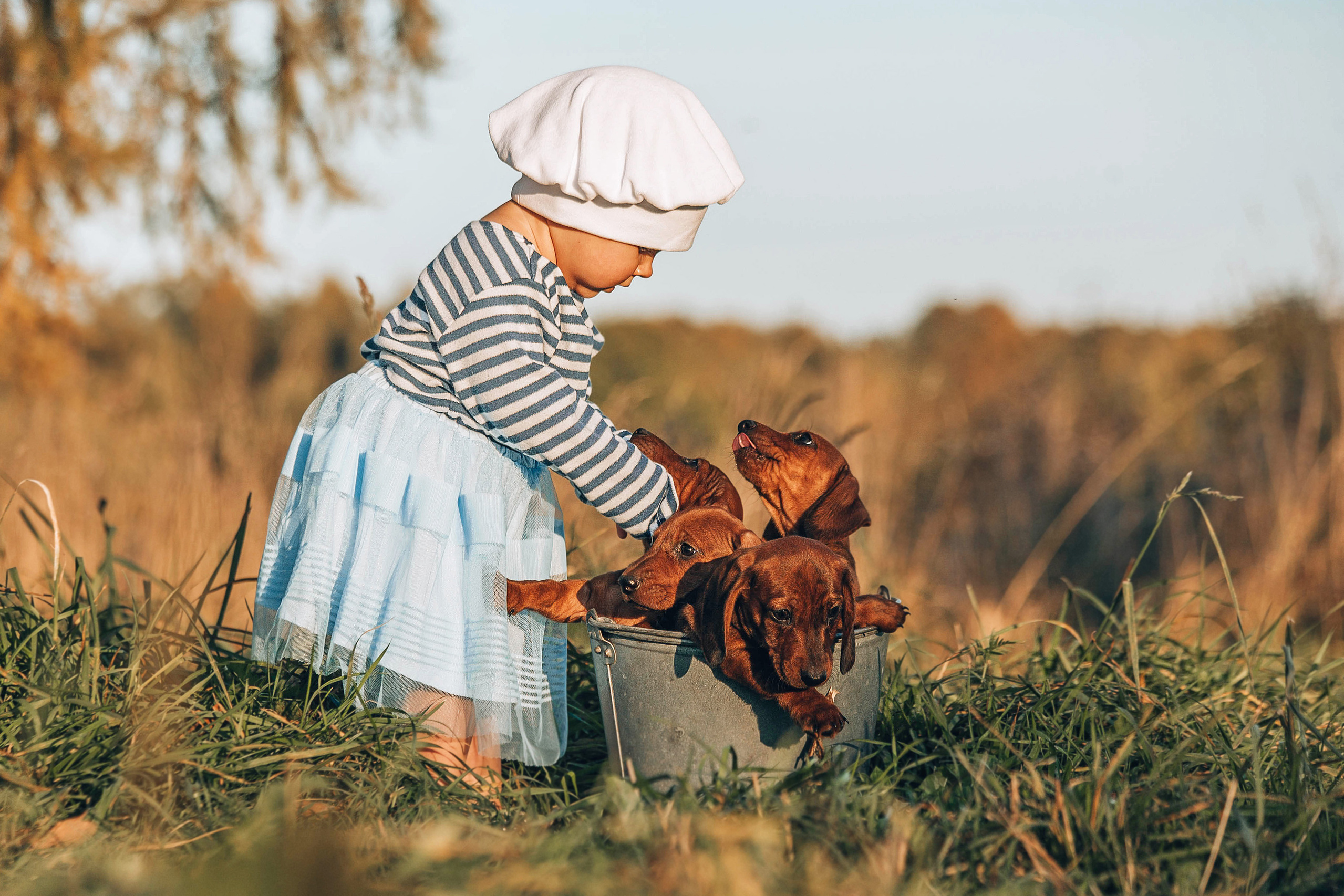 Прайс. Фотограф и Кинолог Ольга Мурзина