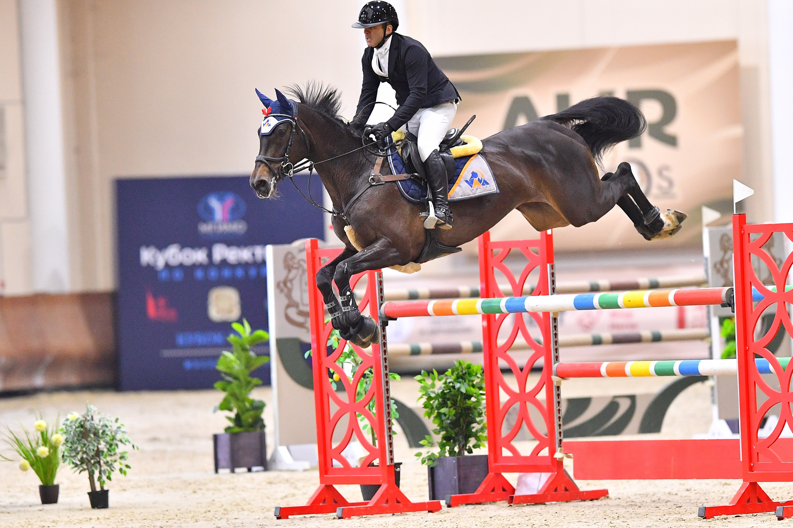 Кубок ВУЗов, Кубок Ректора МГИМО 🎓 (КСК Виват Россия). ТУРНИРНАЯ КОННАЯ ФОТОГРАФИЯ, Руднева Ольга и Евгений Адеев