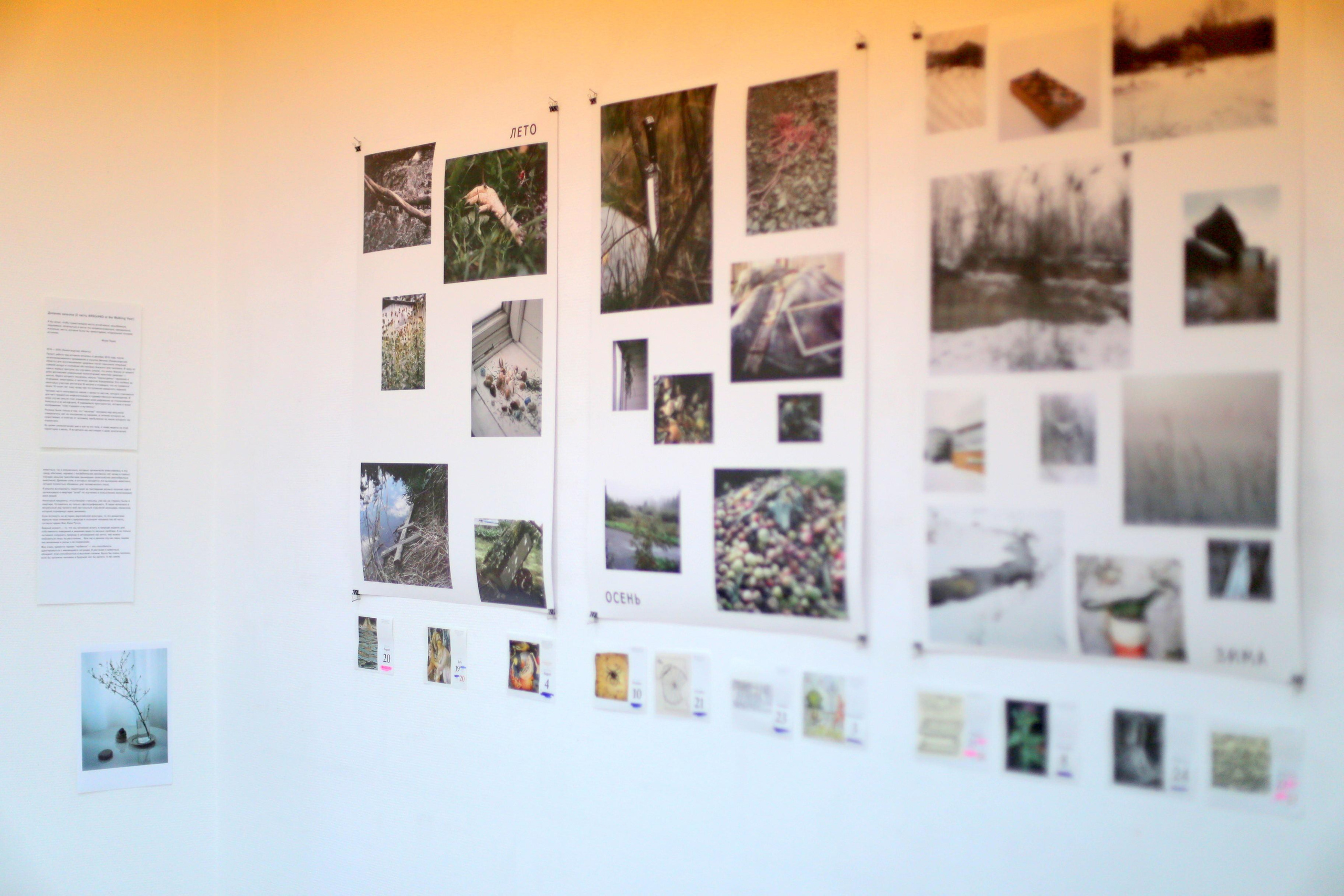 Персональная выставка — @spaceplaceone Gallery (Нижний Тагил, Россия). Екатерина Васильева художник, куратор и преподаватель