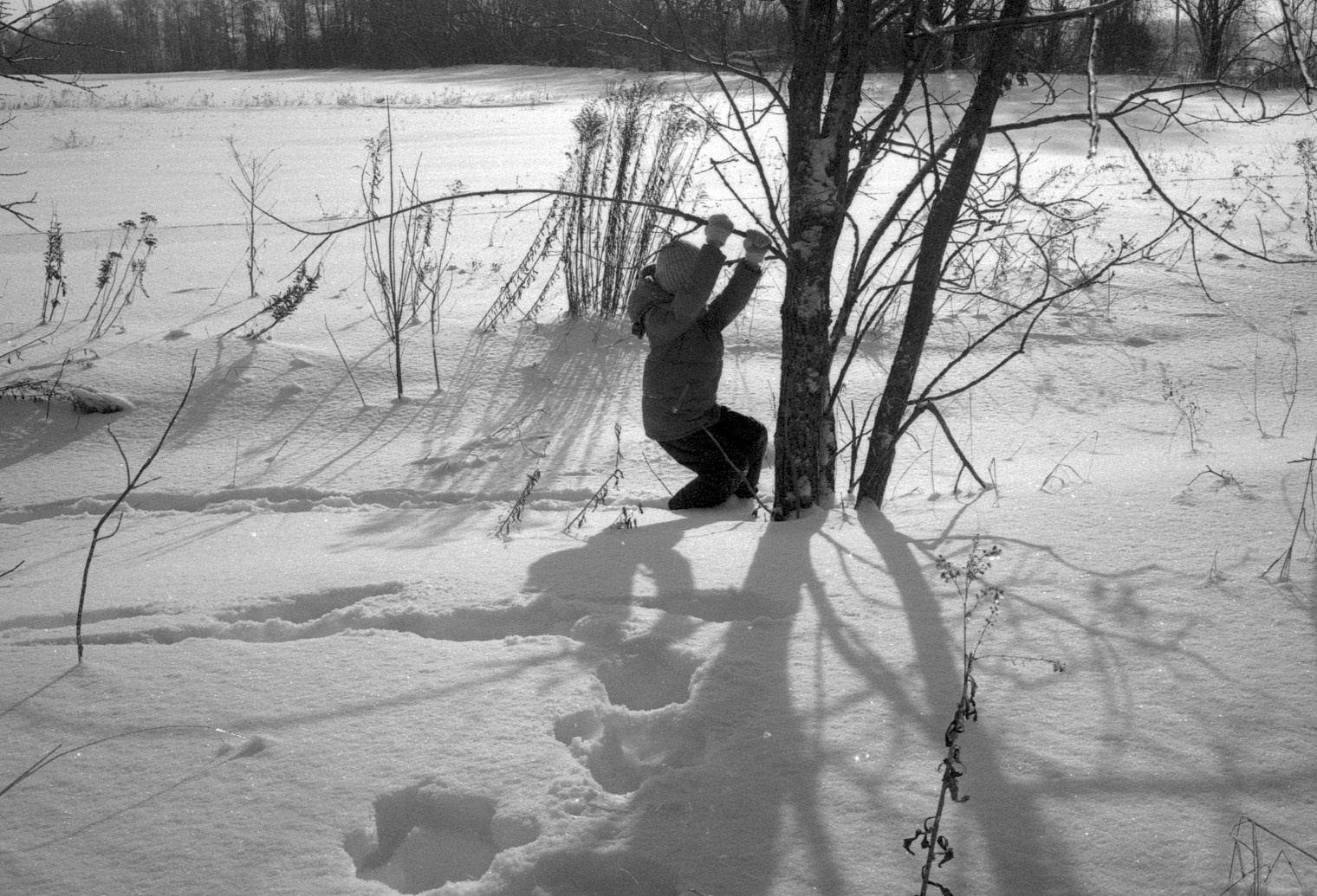 Зима муми-троллей. Artkapella|Олег Кузнецов