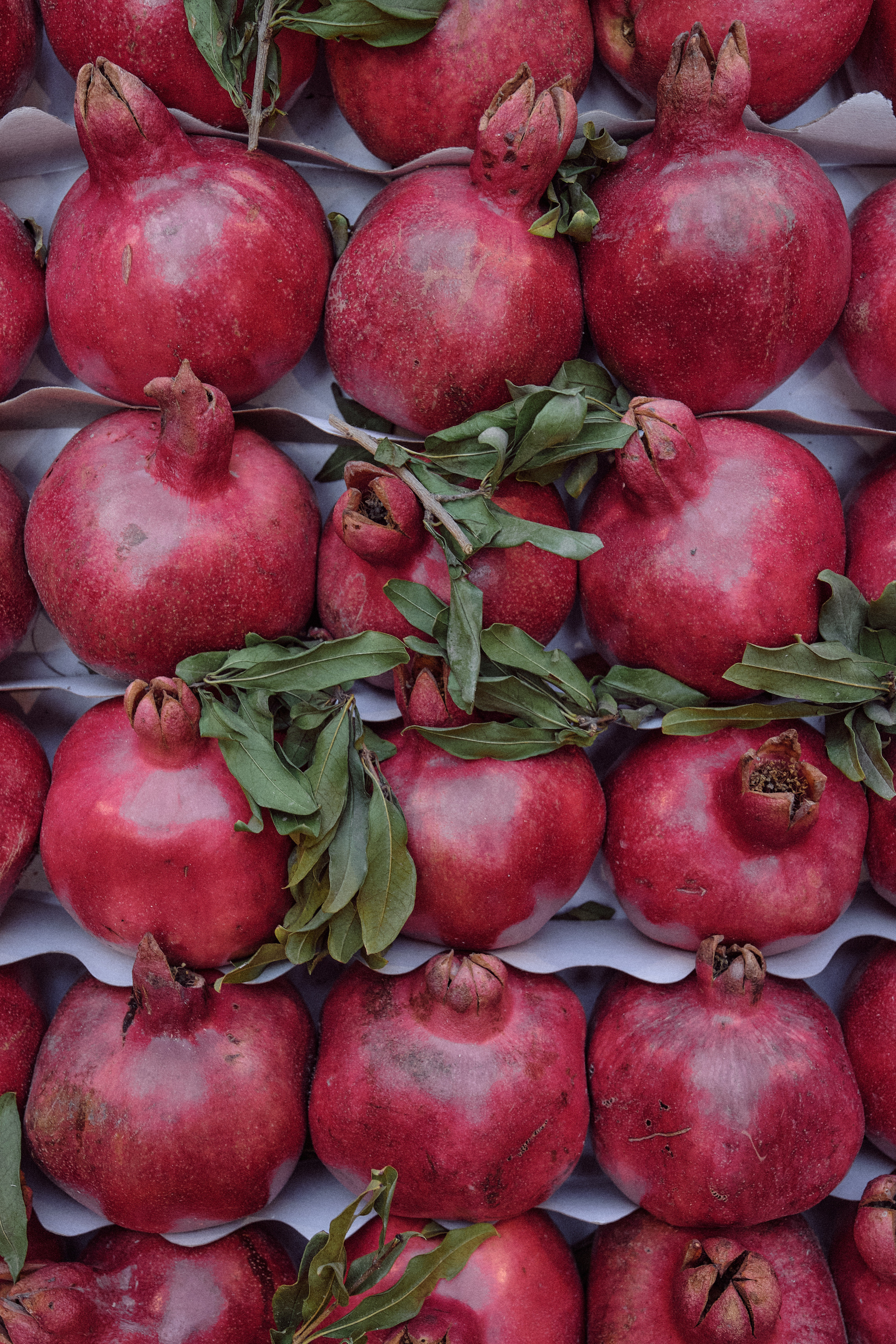 Спелые гранаты с зелеными листьями ровно уложены в ящик на бумажной подложке для транспортировки