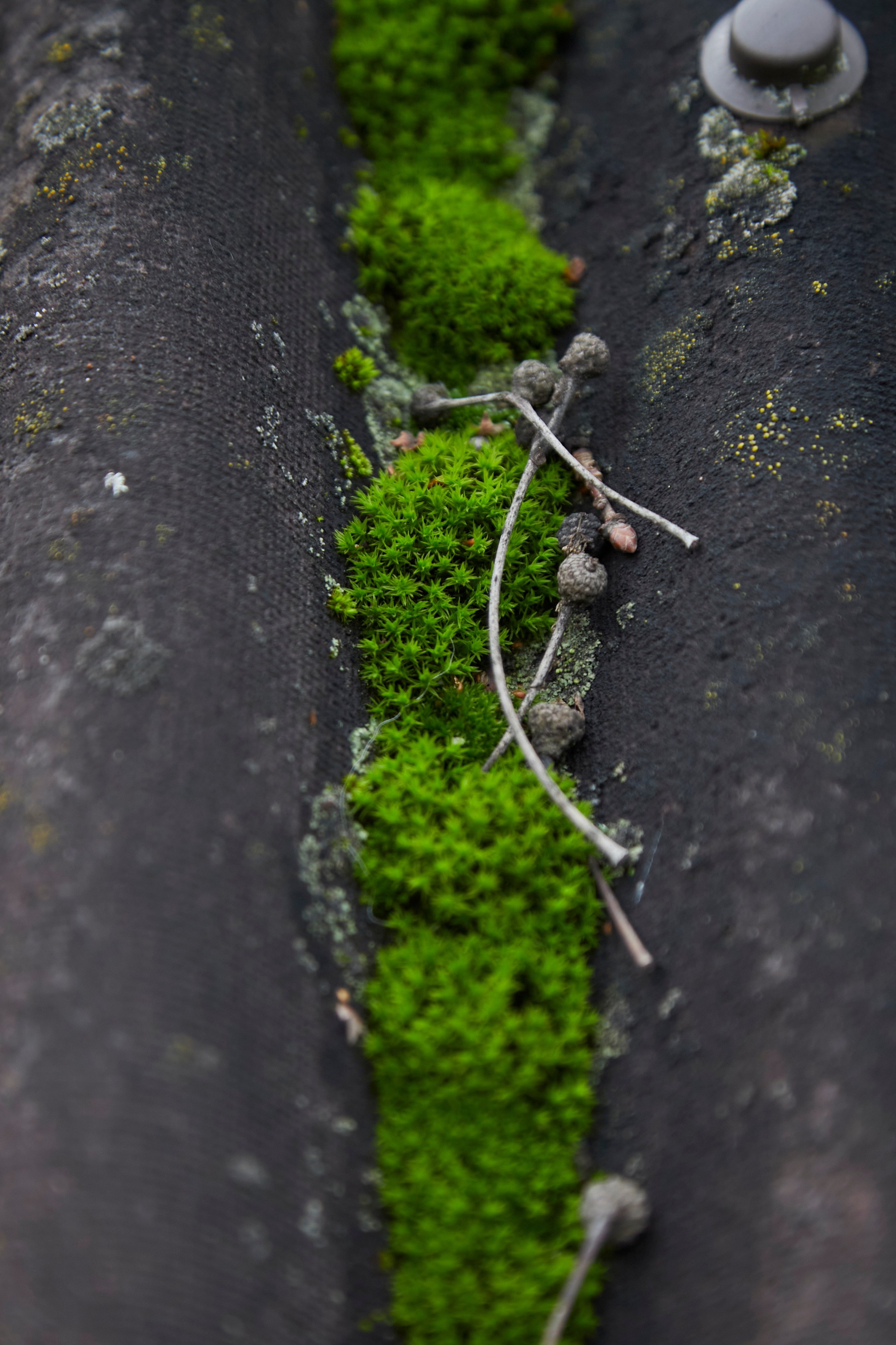 Люблю брать с собой фотоаппарат на прогулки в лесу или на природе. Осенью особое настроение в природе...ну вы знаете.
