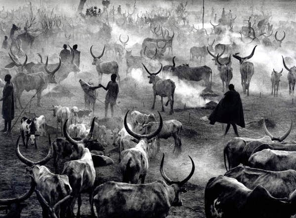 Фотопленка: Долгожданное возвращение. Unposed Society Moscow | Фотограф Аникин Станислав