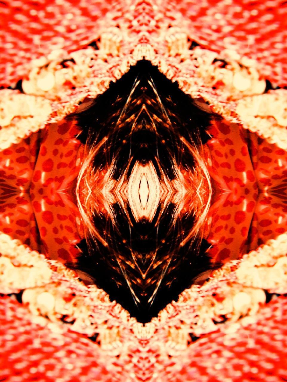 Фотоконкурс «Круг». ARTEXPOPHOTO