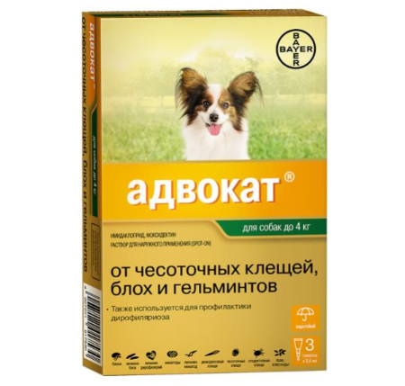 Рекомендации в ухаживании за щенком!. Питомник Йоркширских терьеров Дэнстайл в Санкт-Петербурге заводчик Тих