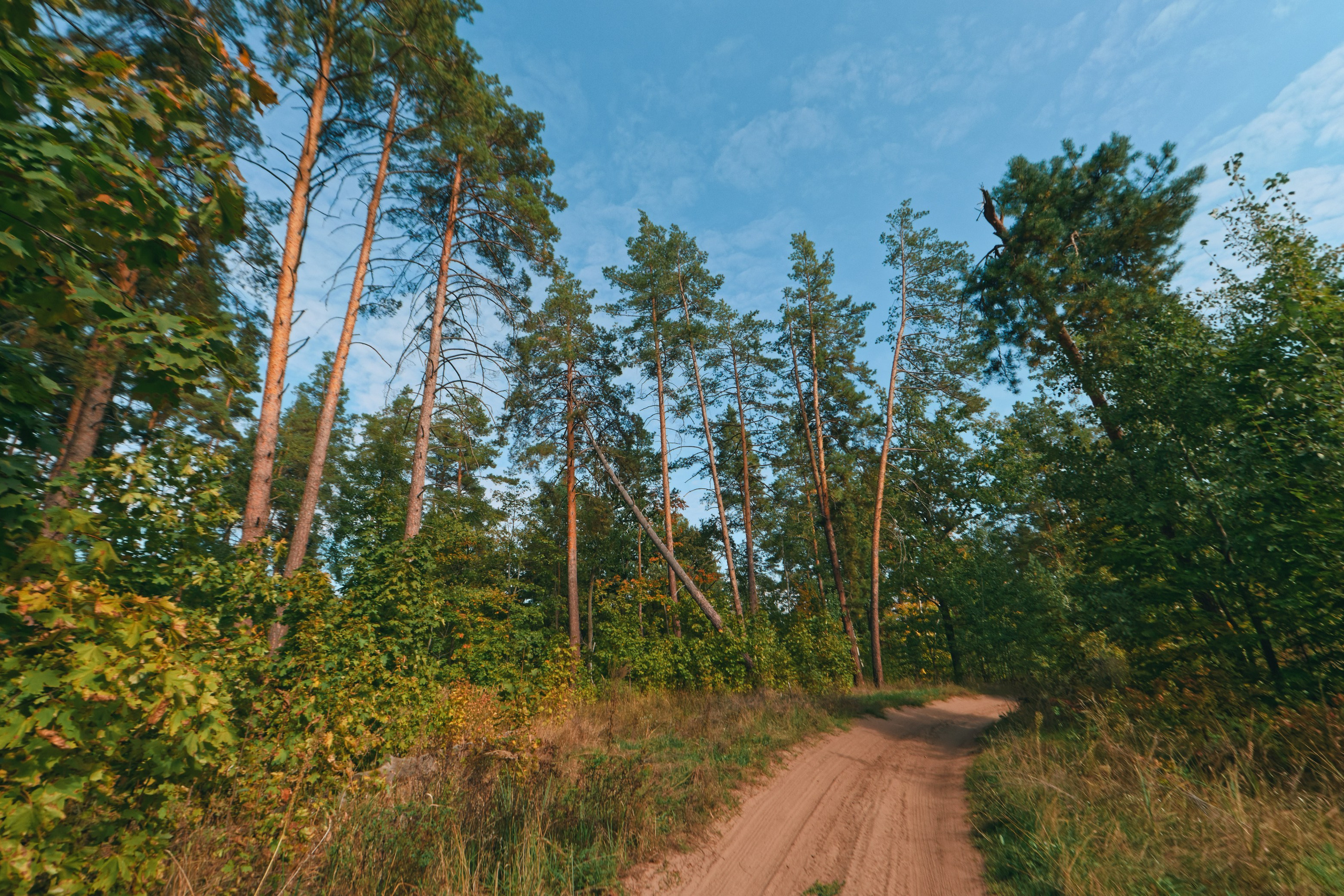 Мастрюково. Коммерческий фотограф в Самаре| DMTRY LUMEN