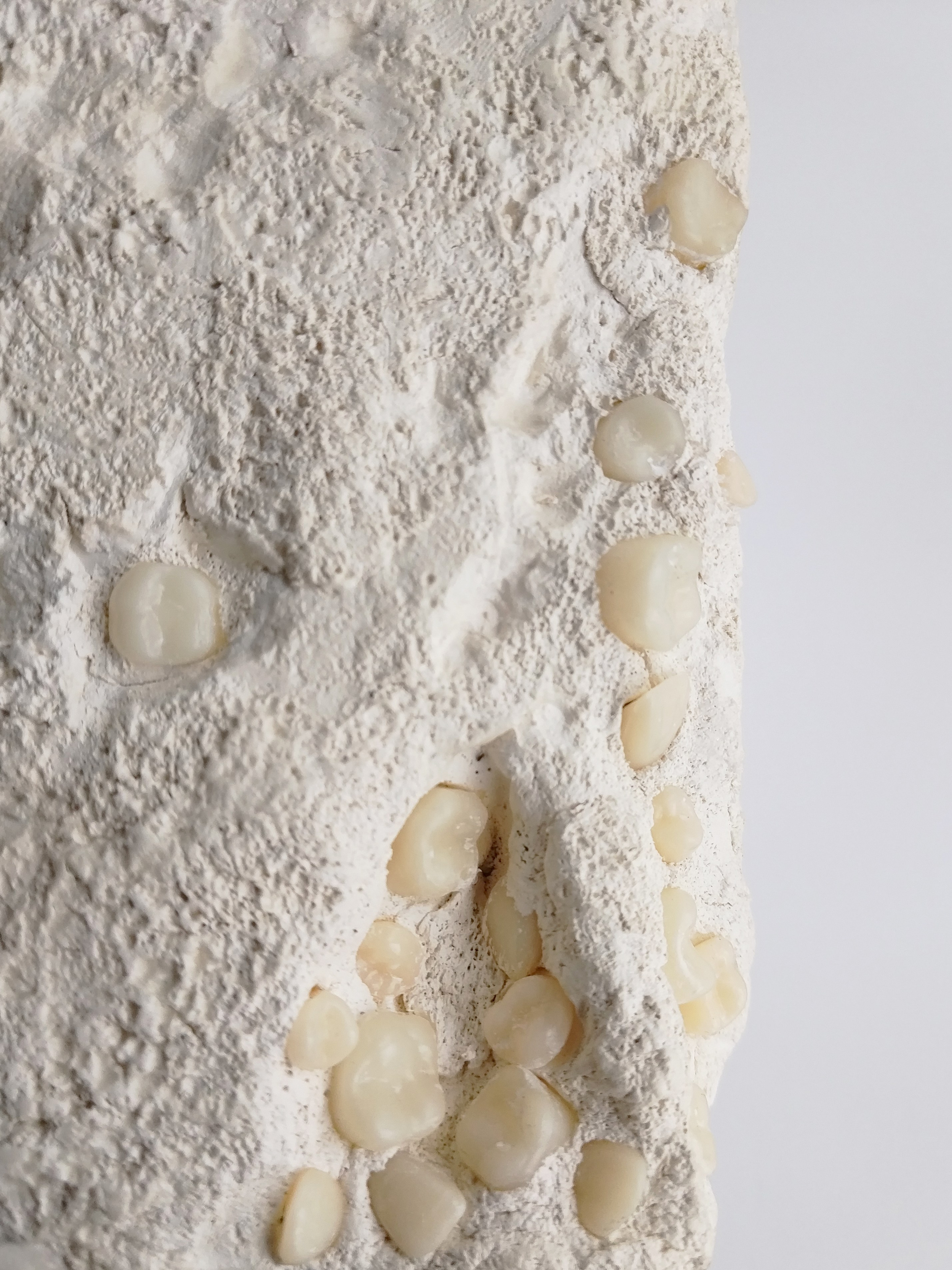 Я в порядке. Ирина Петрова. Современный художник