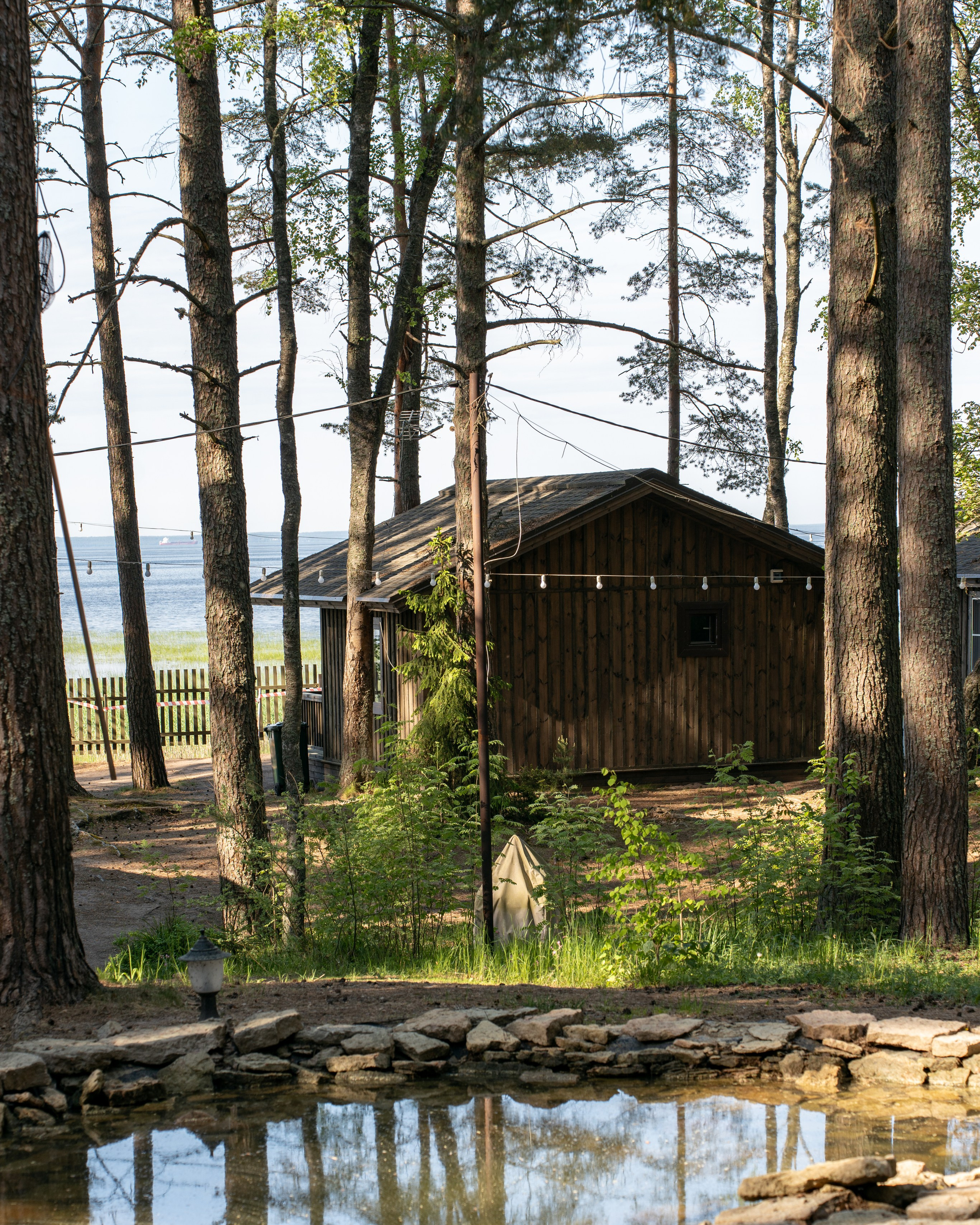 Фотограф Инесса Фокина