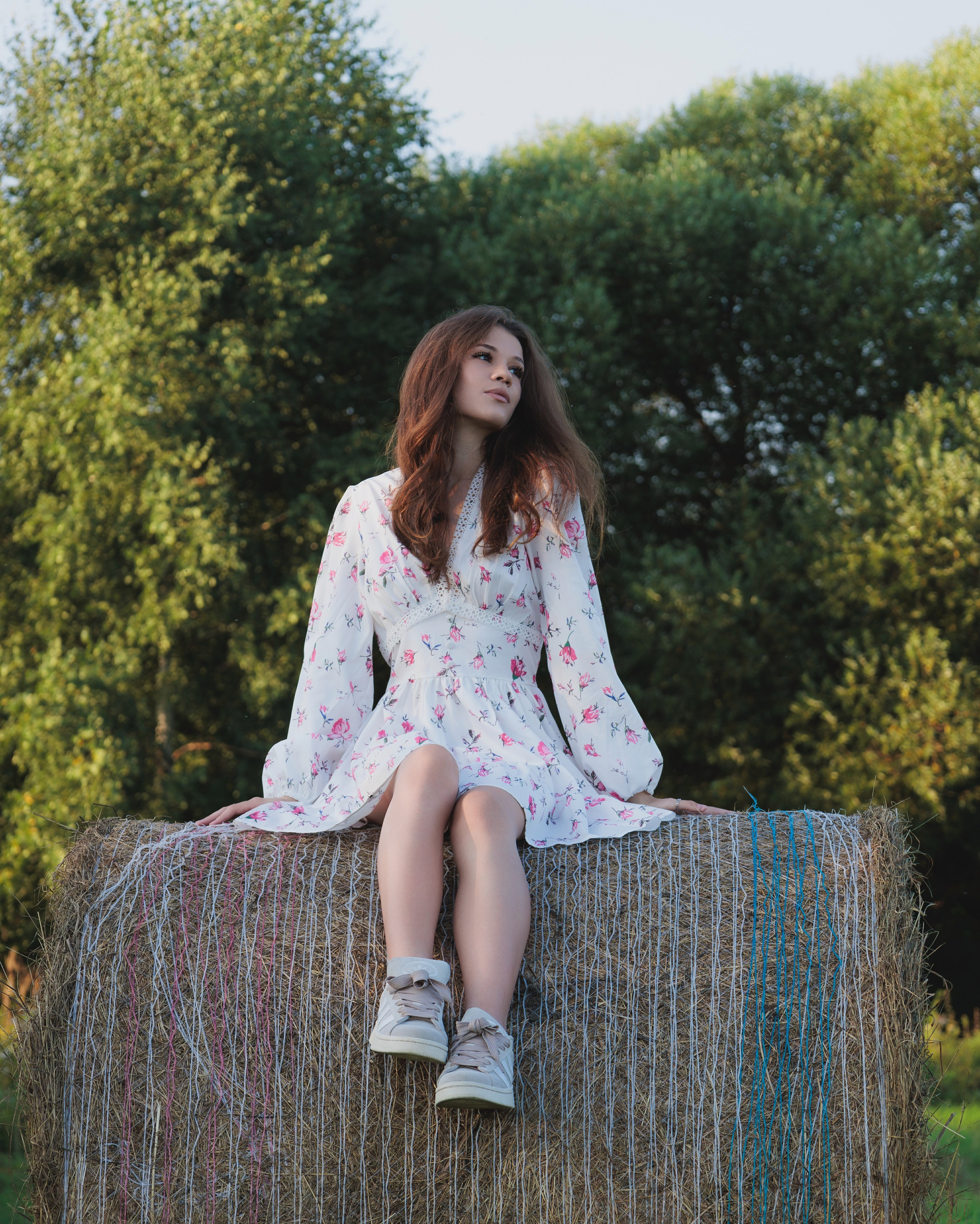 Мелехов Дмитрий|Фотограф|Видеограф