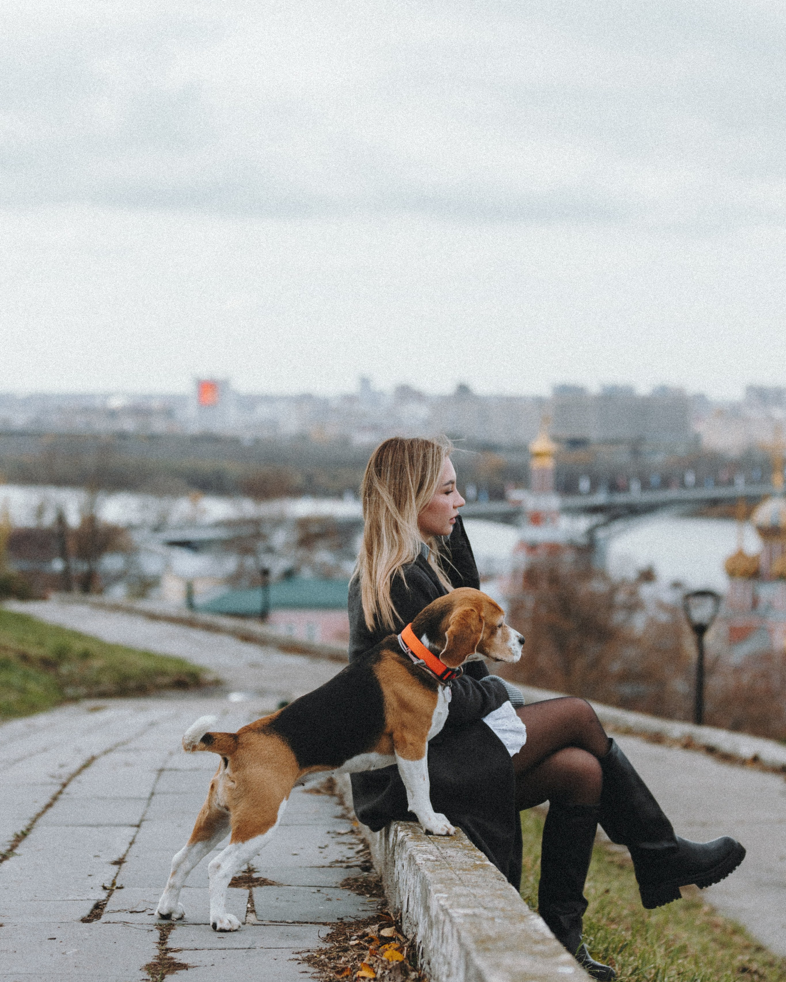 Фотопрогулки. Фотограф — анималист Светлана Кысса|фотограф собак в Краснодаре и Нижнем Новгороде