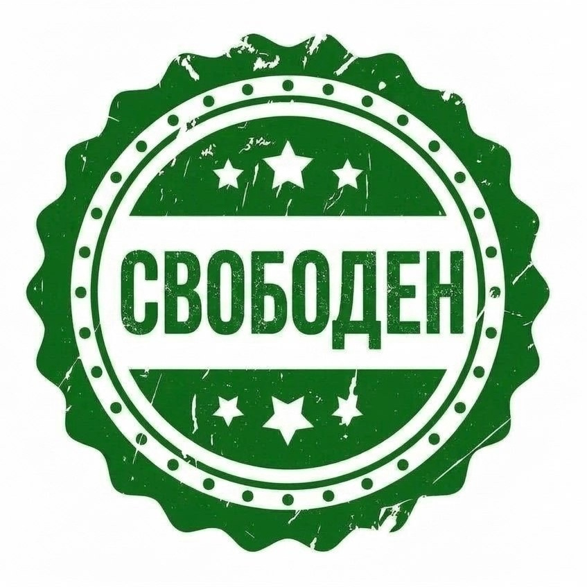 Щенки Американский булли. ПИТОМНИК СОБАК ПОРОДЫ АМЕРИКАНСКИЙ БУЛЛИ