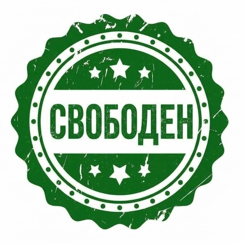 Щенки Американский булли. ПИТОМНИК СОБАК ПОРОДЫ АМЕРИКАНСКИЙ БУЛЛИ