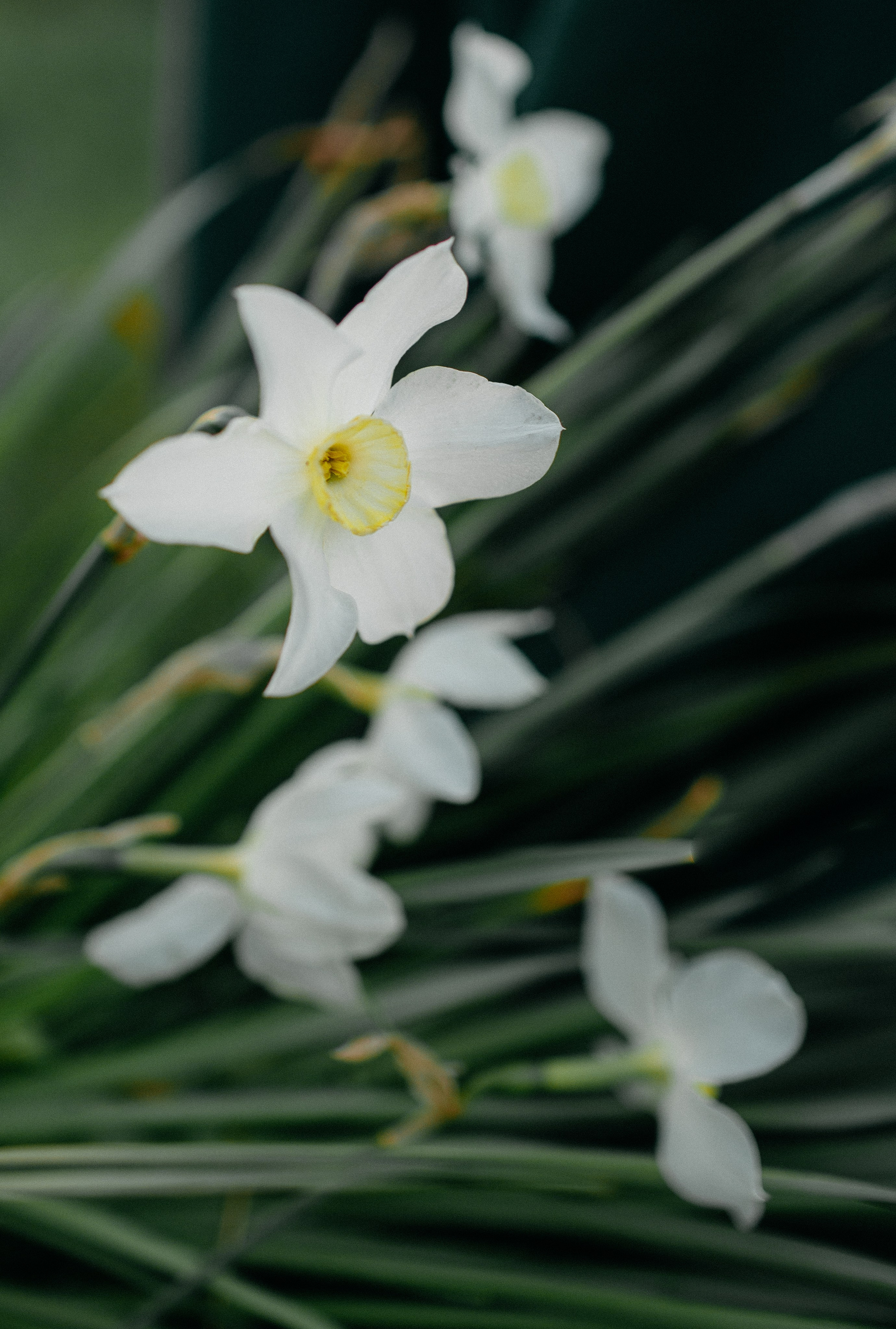 Съёмка утра невесты. Свадебный и семейный фотограф Иваново Москва Елена Угодина