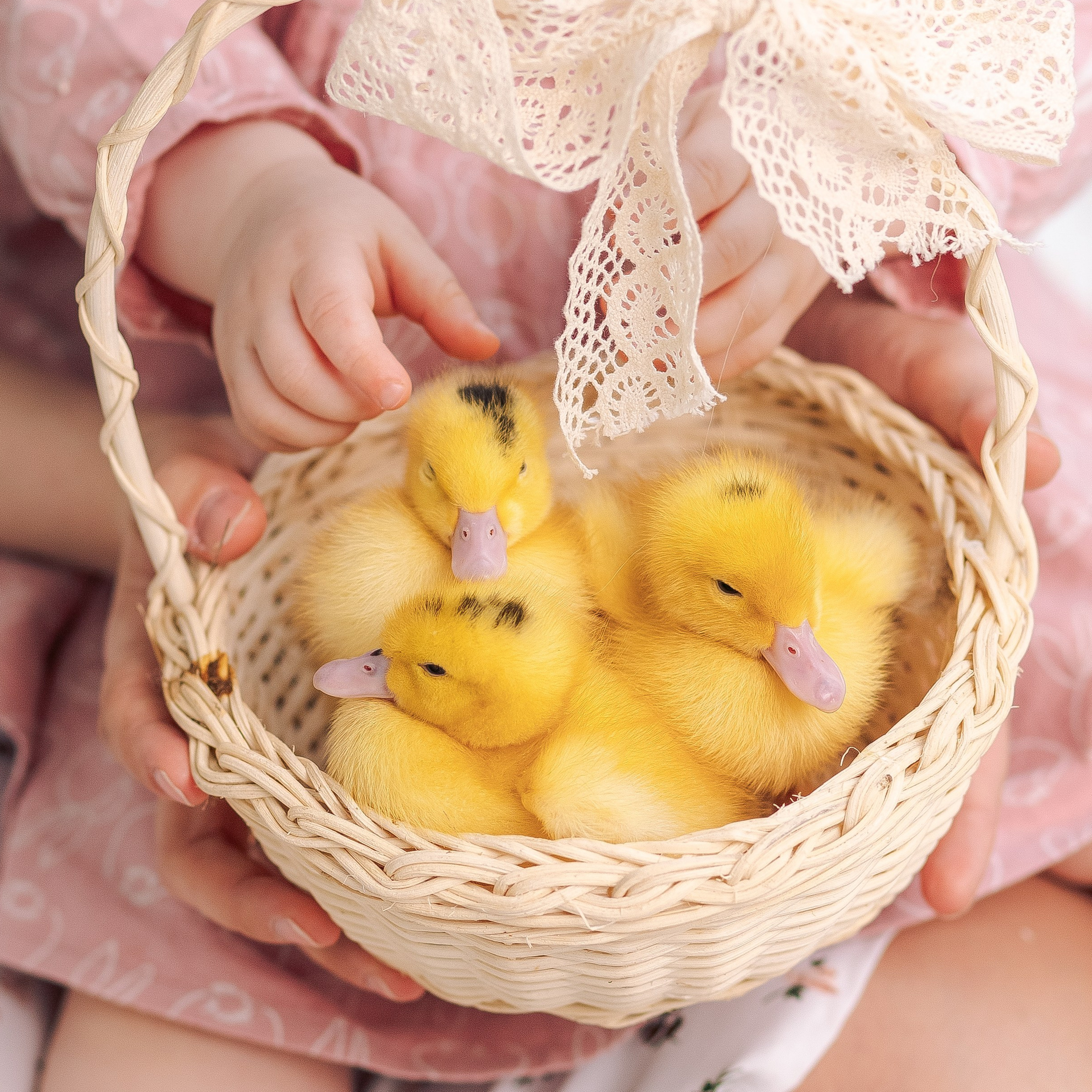 Пасхальные фотосессии 2025. Фотограф в Санкт-Петербурге, Анна Скворцова