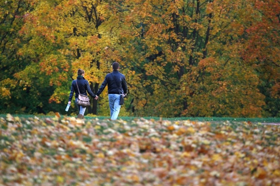 Ловим последние дни бабьего лета в Шалово-парк!. Оздоровительный комплекс Шалово-парк Серебряные ключи
