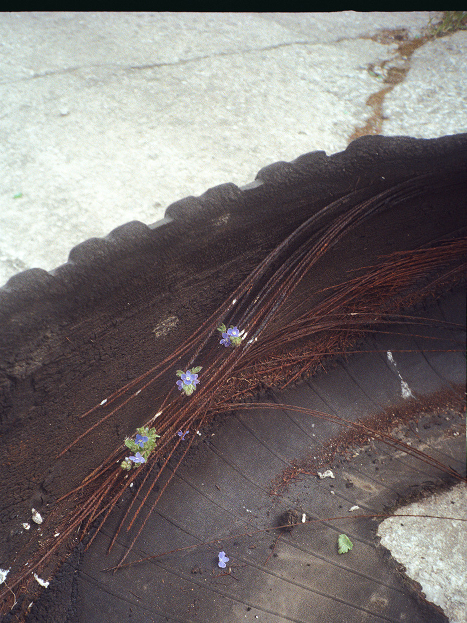 Nik Paustovskiy photography