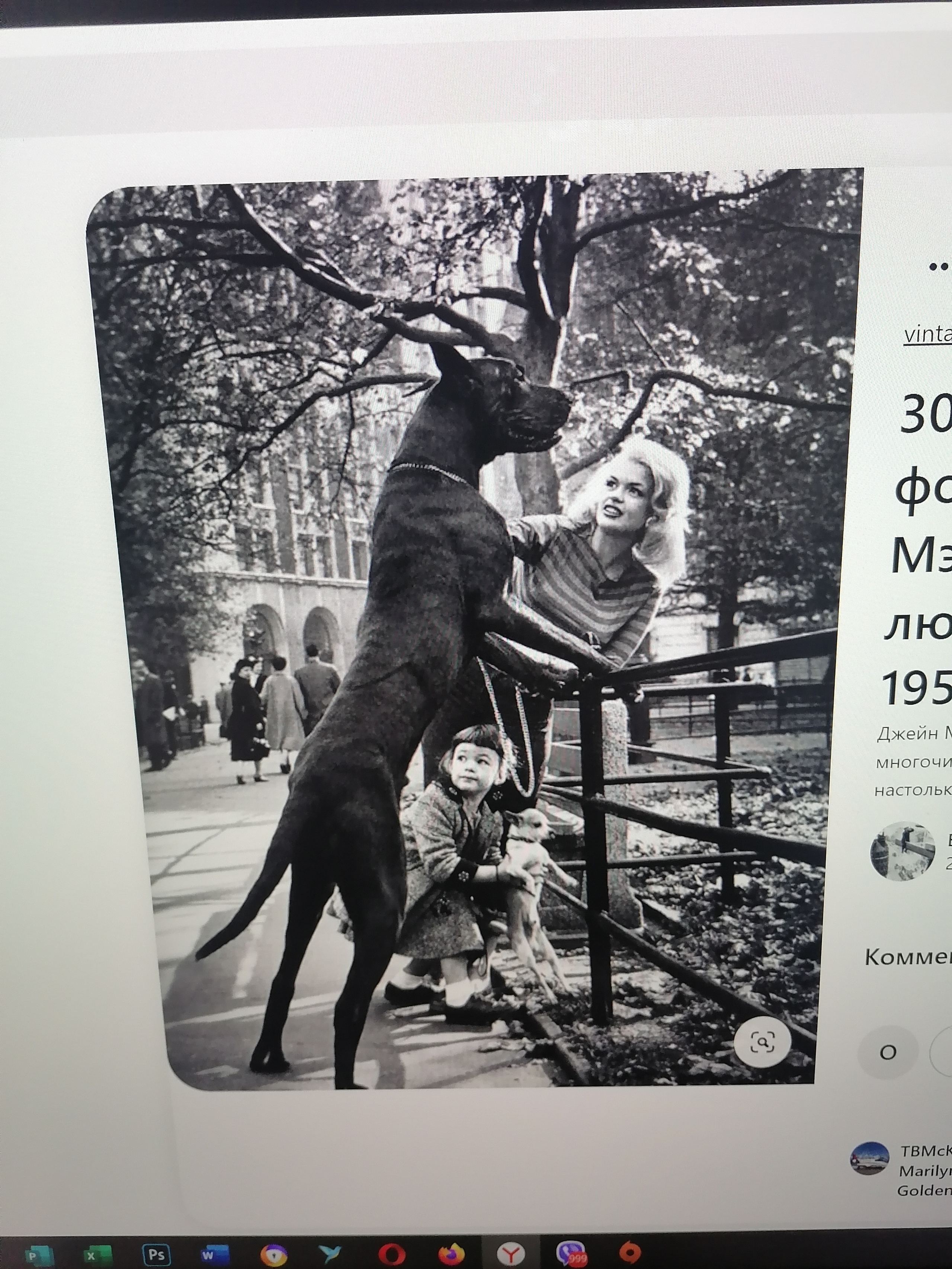 ПЛАН ДЕЙСТВИЙ НА ФОТОСЕССИИ ДЛЯ ВСЕХ УЧАСТНИКОВ