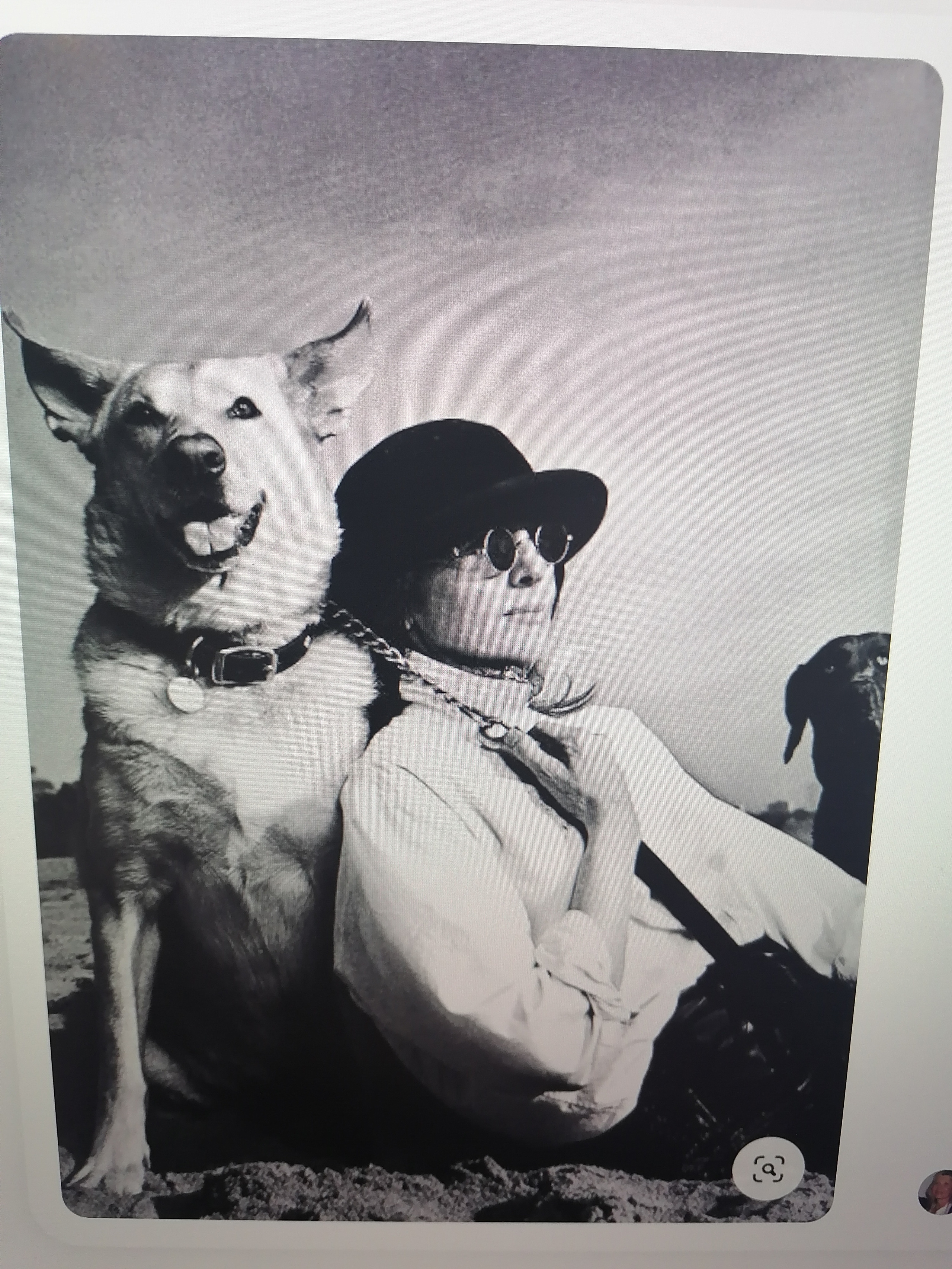 ПЛАН ДЕЙСТВИЙ НА ФОТОСЕССИИ ДЛЯ ВСЕХ УЧАСТНИКОВ