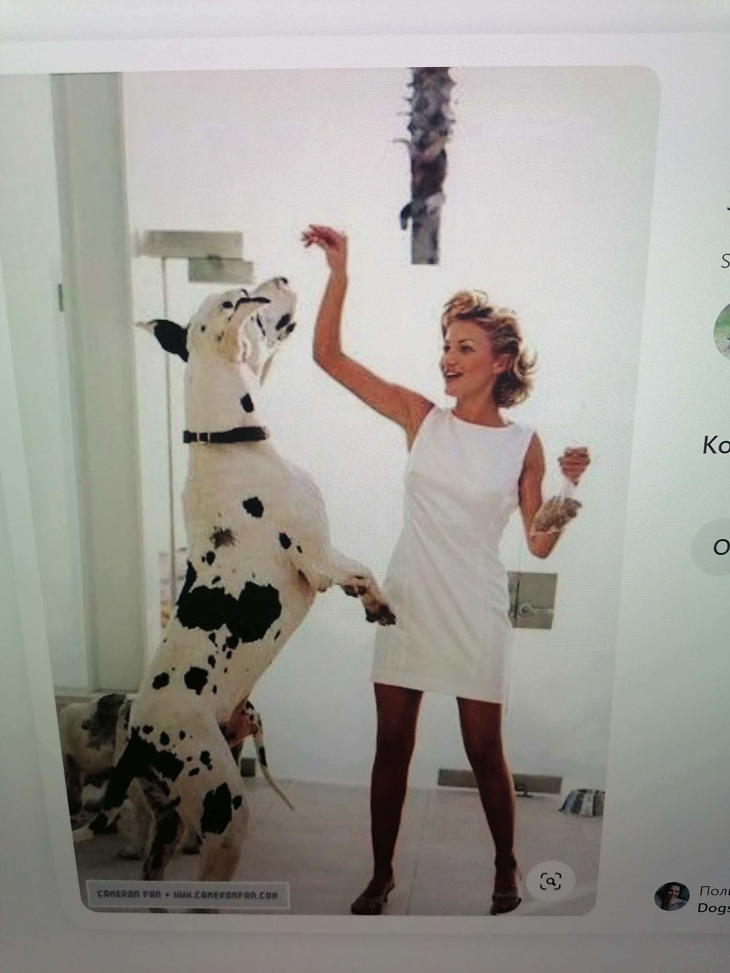 ПЛАН ДЕЙСТВИЙ НА ФОТОСЕССИИ ДЛЯ ВСЕХ УЧАСТНИКОВ