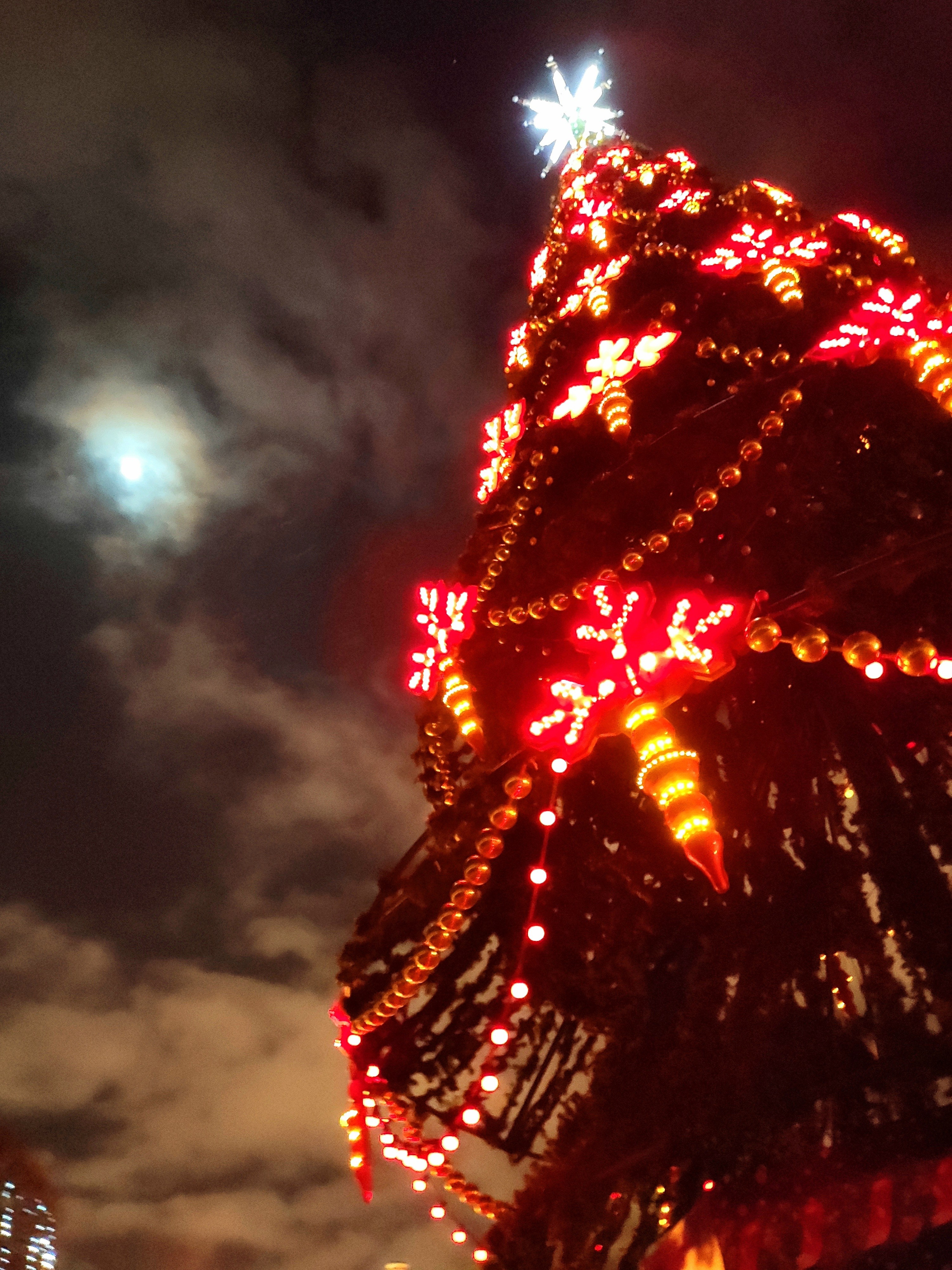 Россия. Санкт-Петербург. Walk & Fly with Batay