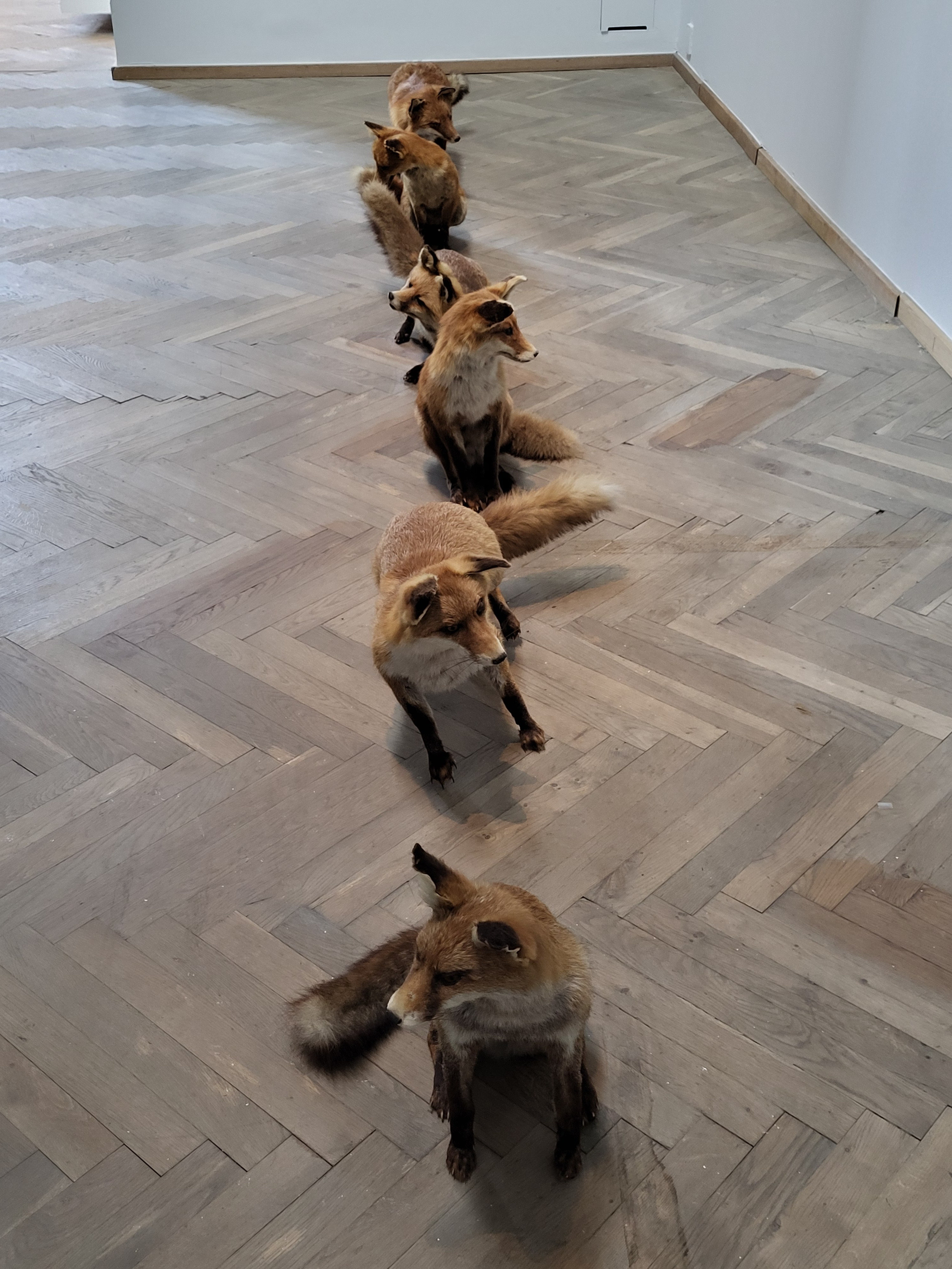 Современное искусство Европы 2025 — 3 сезон