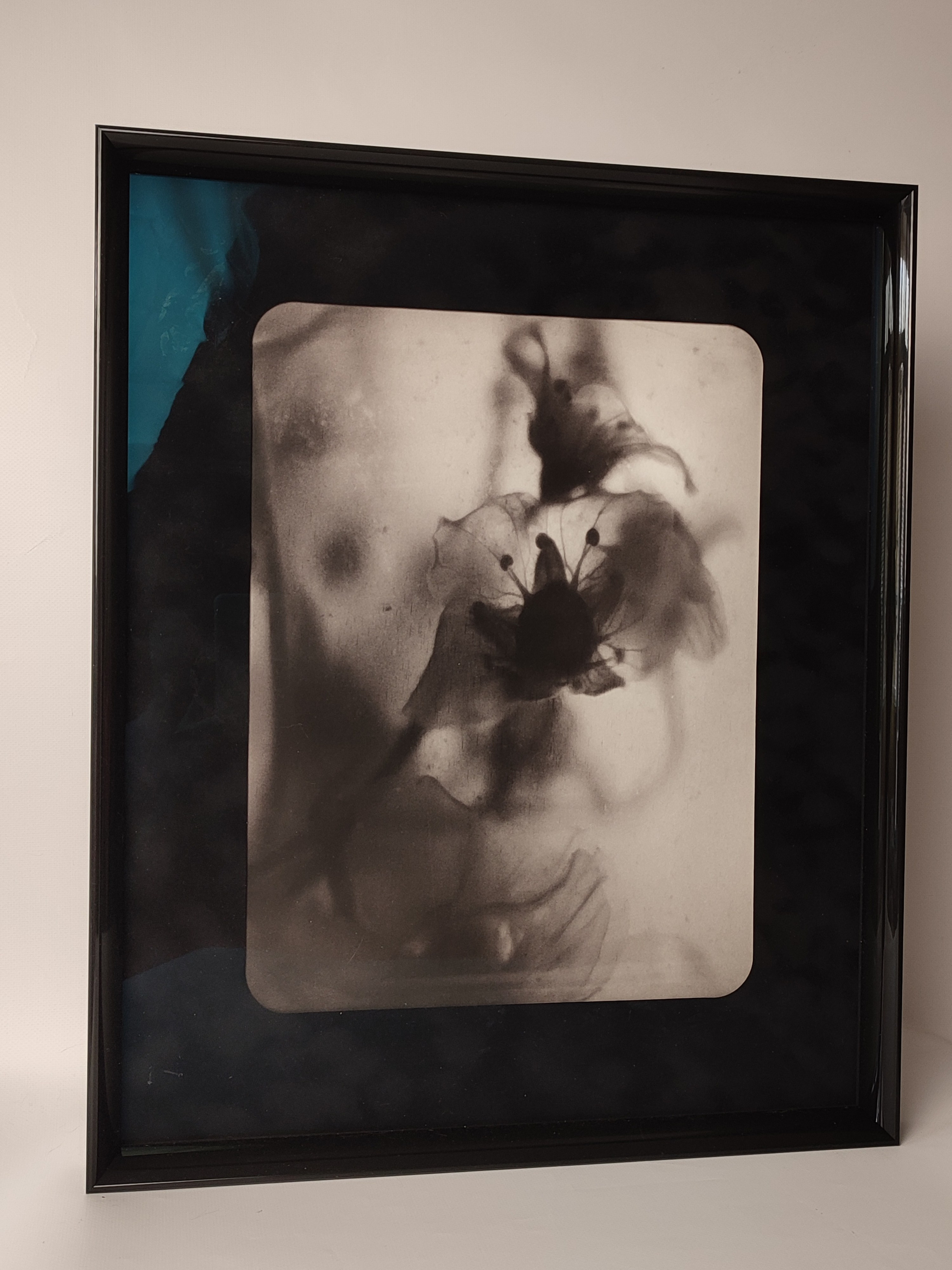 Серия «Цветы и медузы». Плёночный фотограф Юлия Андрейченко в Москве