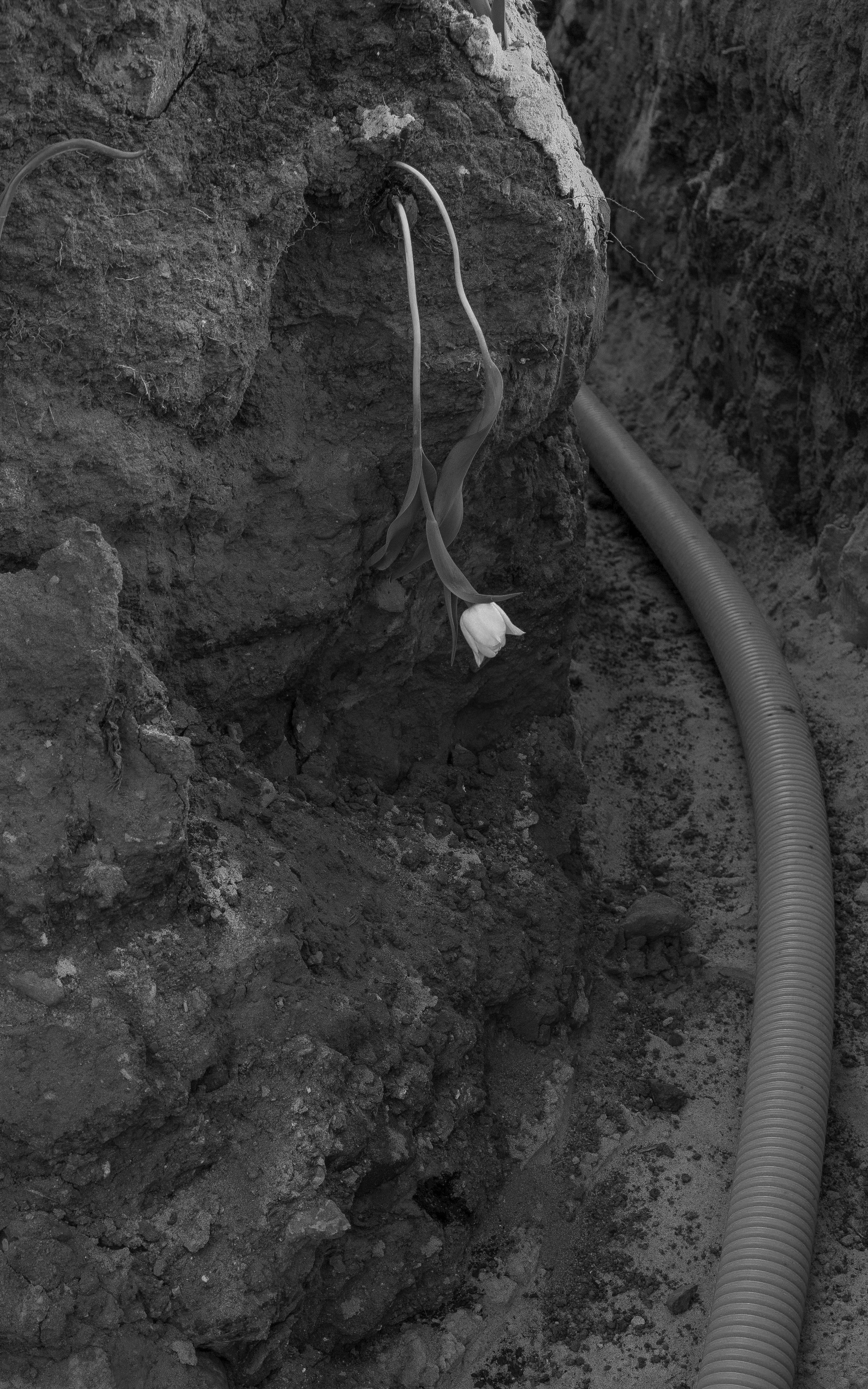 ATTACHMENTS. Ksenia Pecherina