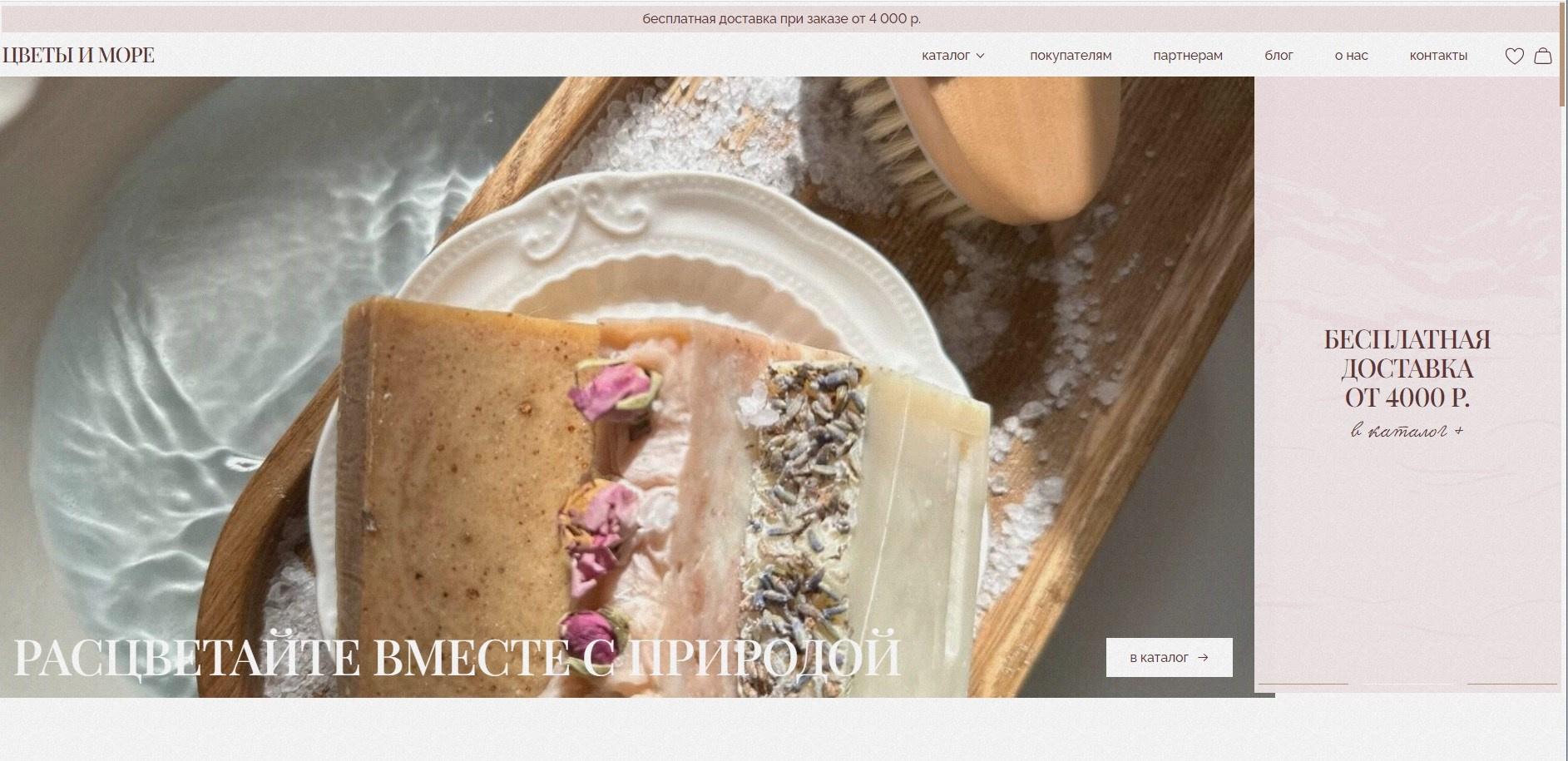 Примеры магазинов для Кати