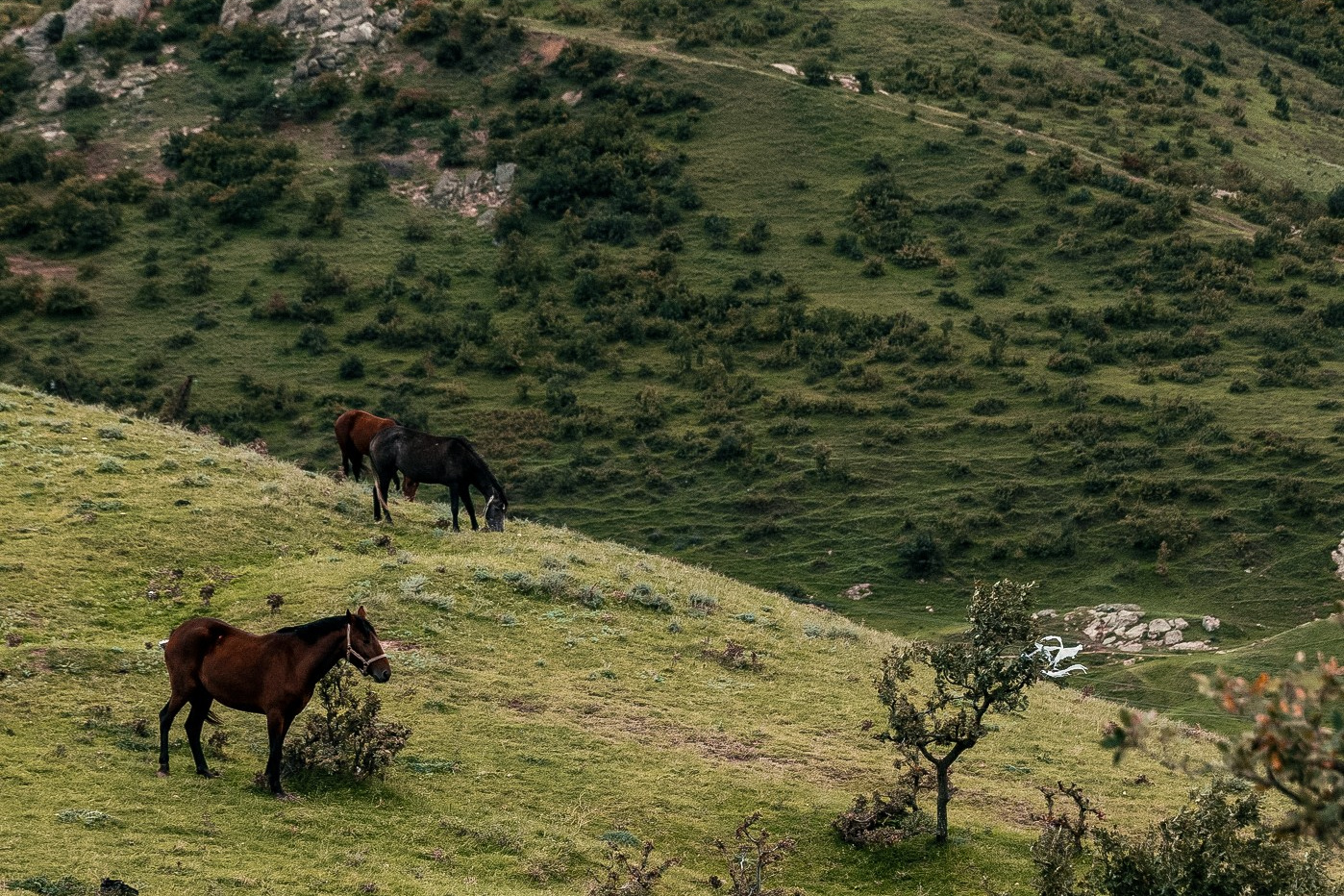 Фототур Дагестан 17 — 20 октября. Фотограф Москва и Видеограф Москва