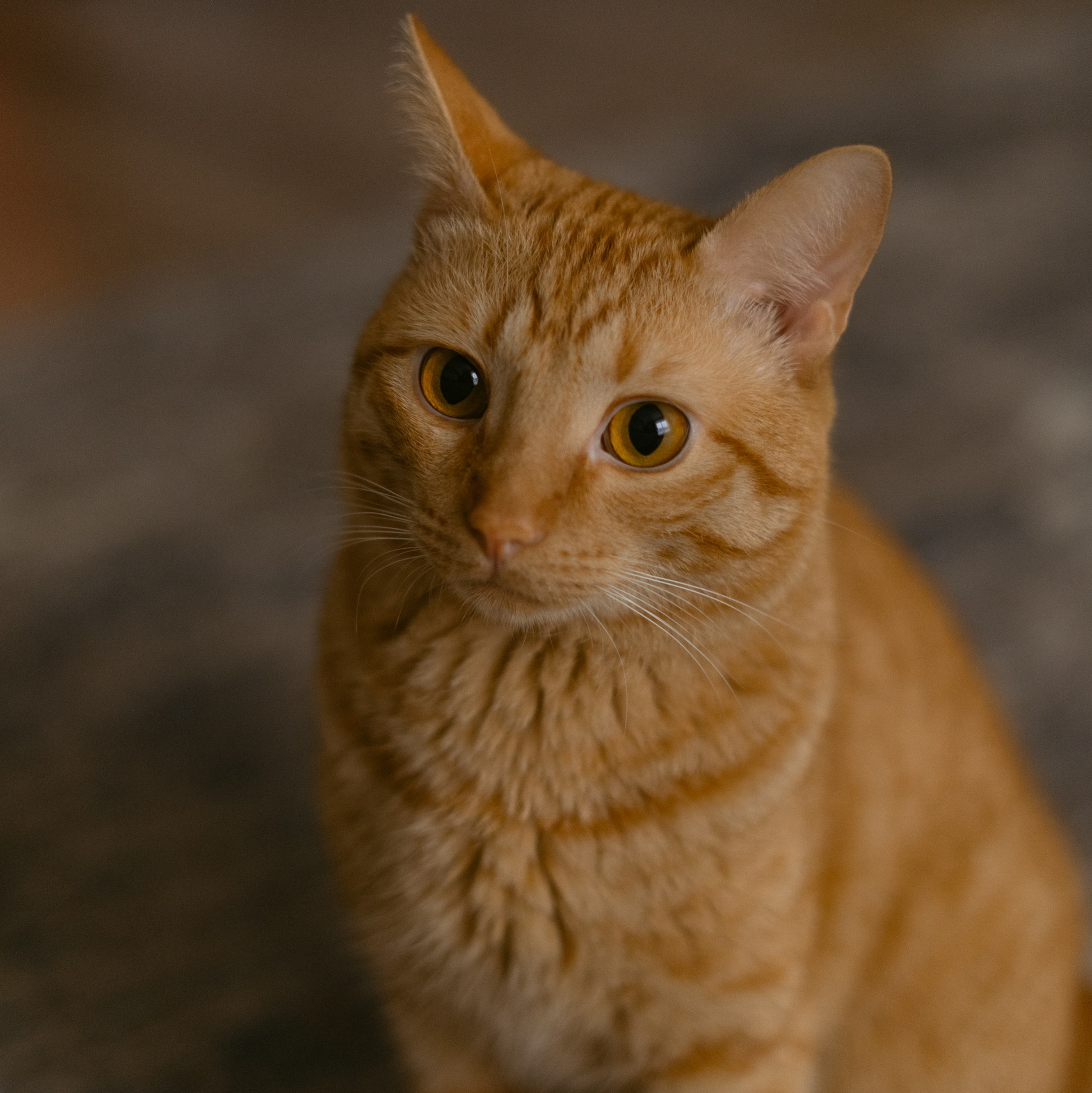 Events. Фотограф в Москве Шалышко Ангелина