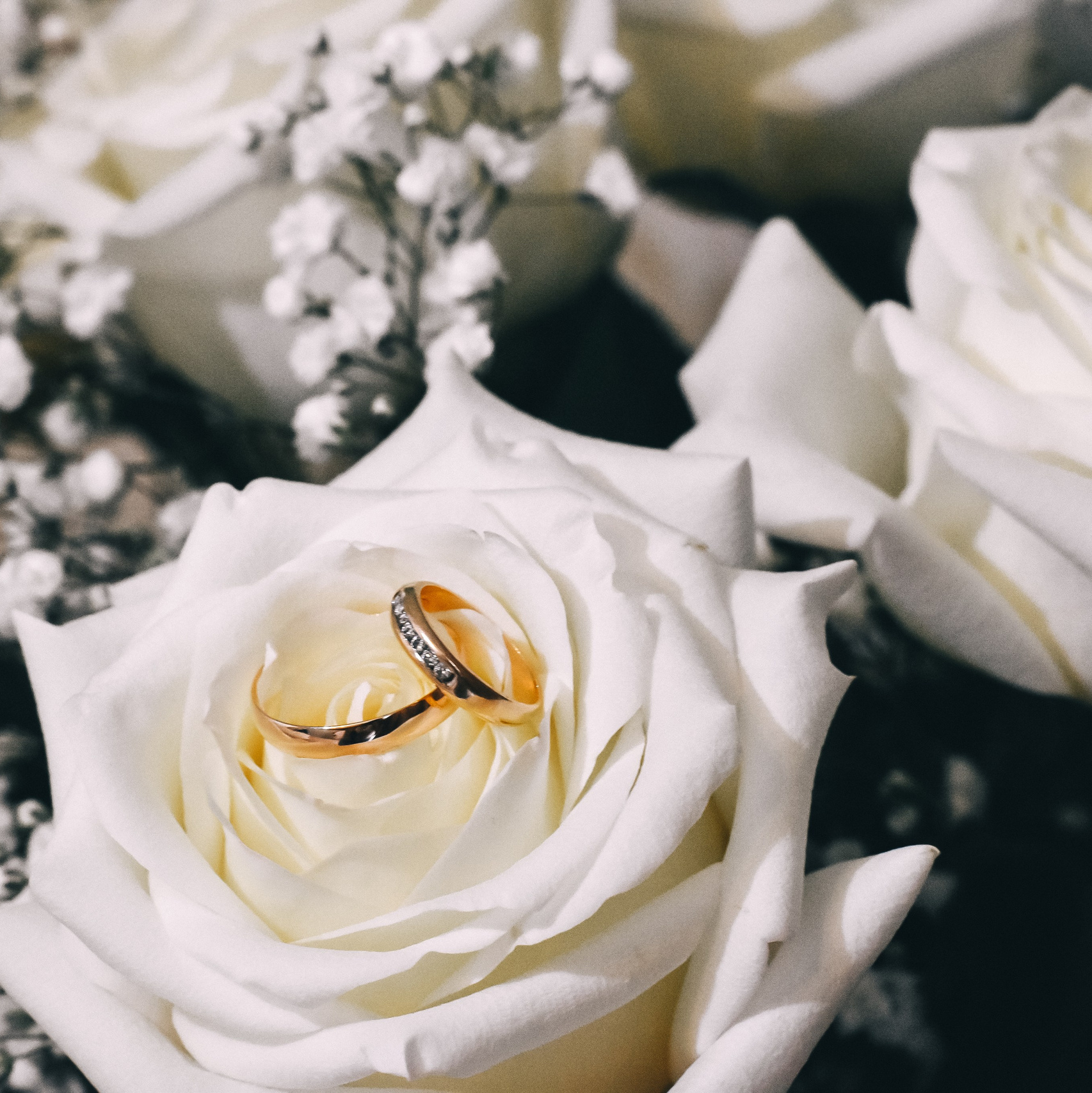 Фотограф на все случаи