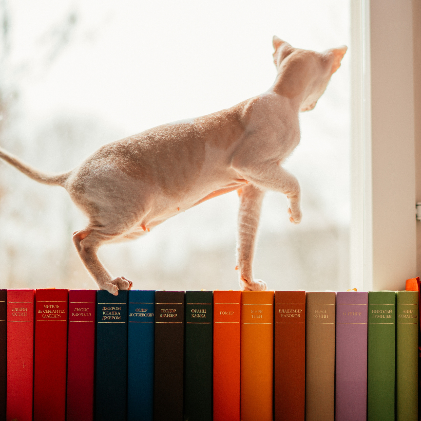 Фотограф Дарья Тепло