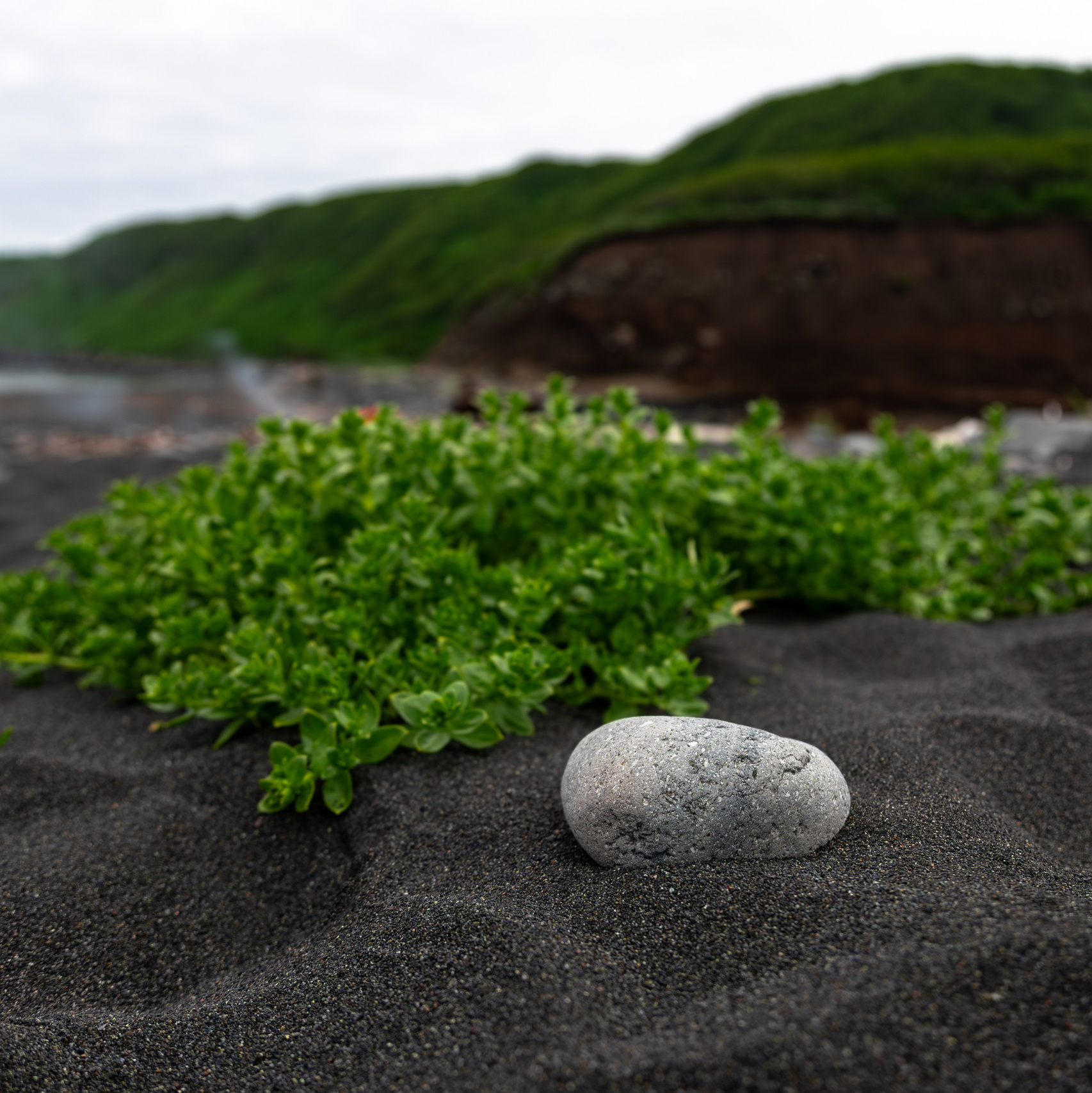 Blog Alexey Nikitin. Professional photographer Alexey Nikitin in Moscow