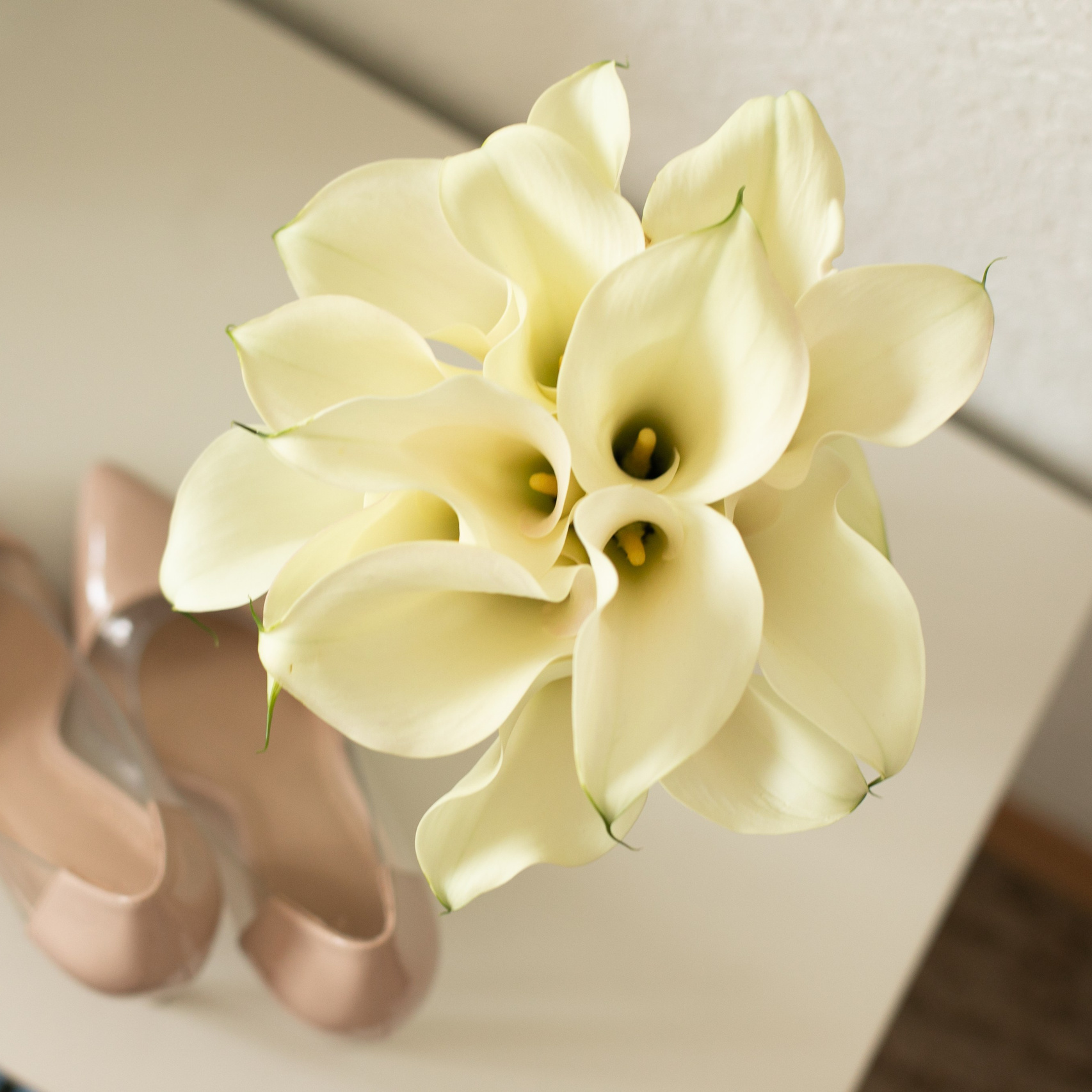 Свадебный фотограф Москва