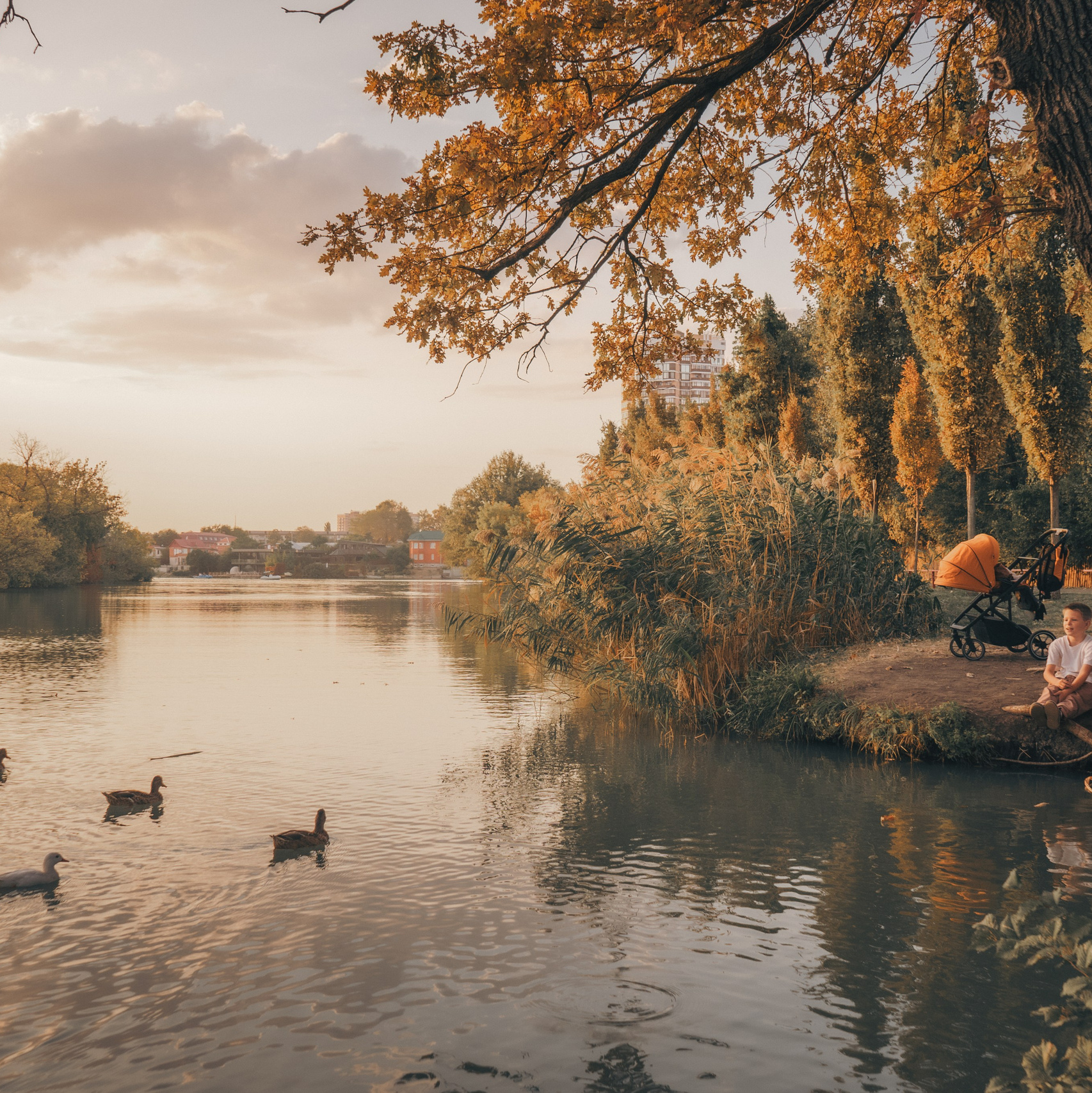 Фотограф СЕМЬИ и ДЕТСТВА в Краснодаре и Краснодарском крае Екатерина Москат