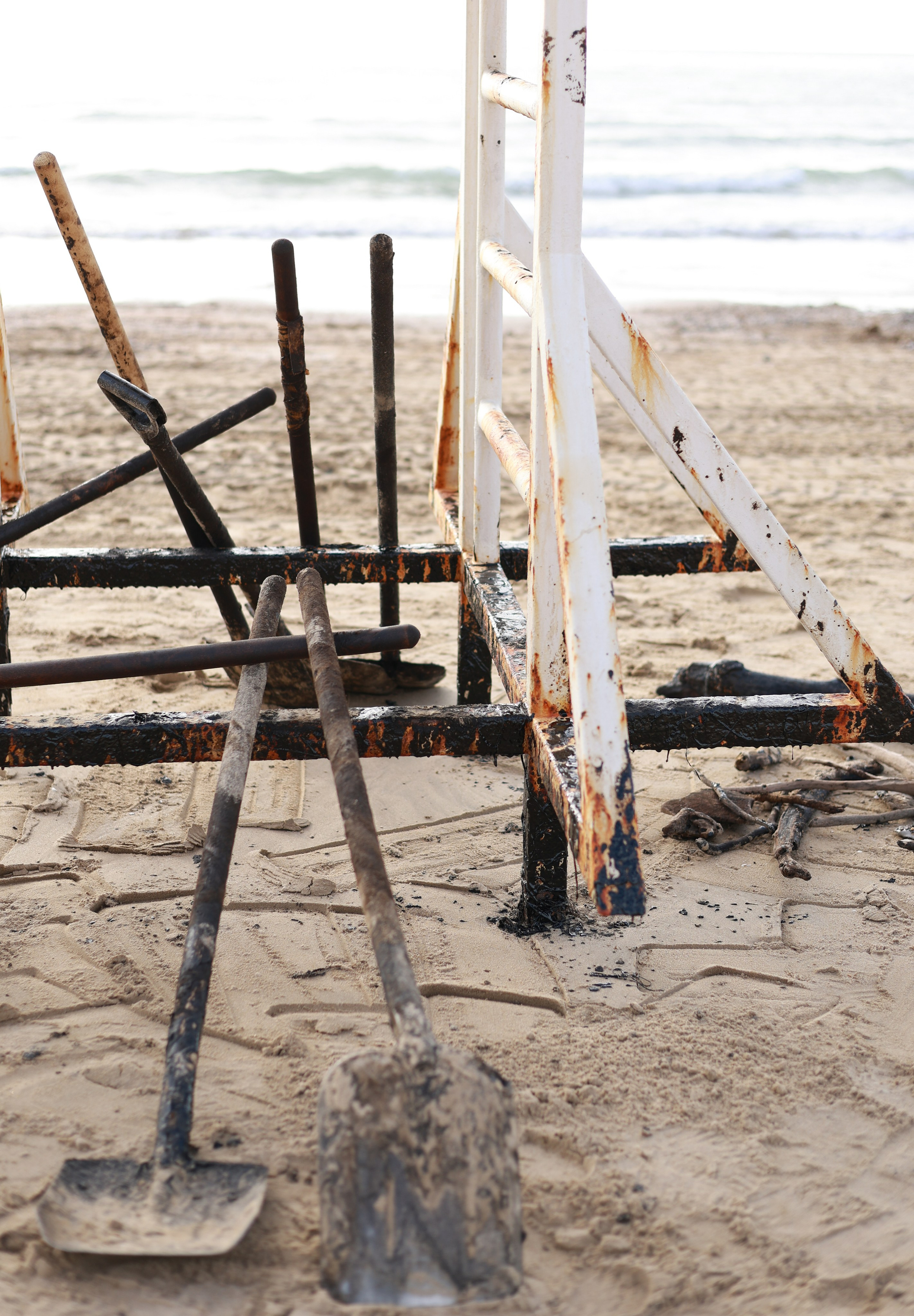 Фотовыставка «Черное море» | nasa loseva