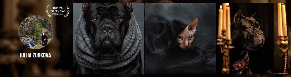 Мои достижения. Фотограф-анималист Юлия Зубкова