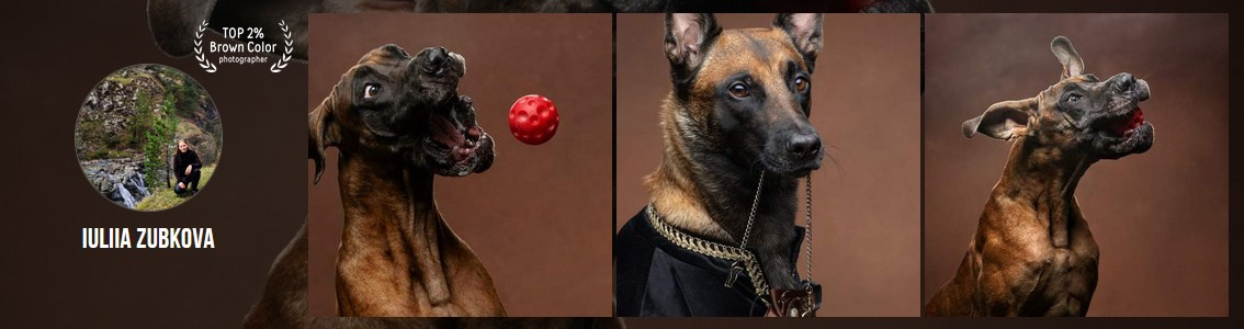 Мои достижения. Фотограф-анималист Юлия Зубкова