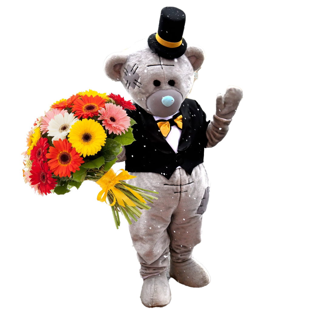 Контакты. Поздравления от Мишки Тедди в Муроме