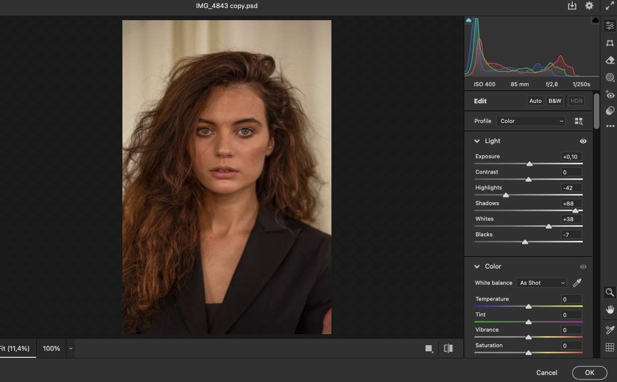 Retouching Training/Headshot Retouching Algorithm. AI Photo Retoucher and Image Restorer Zhanna Ognivo