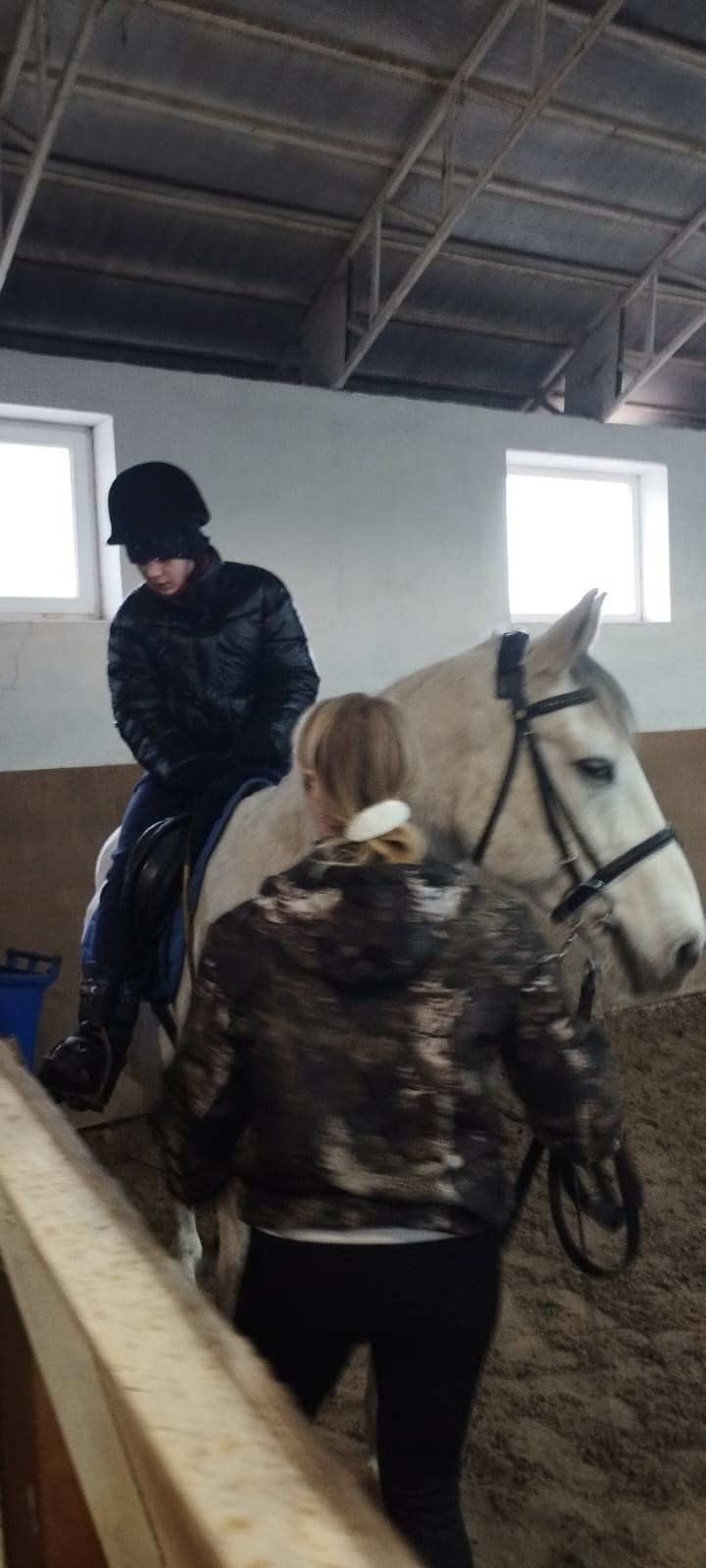 «Иппопогружение» 2024: итоги и достижения