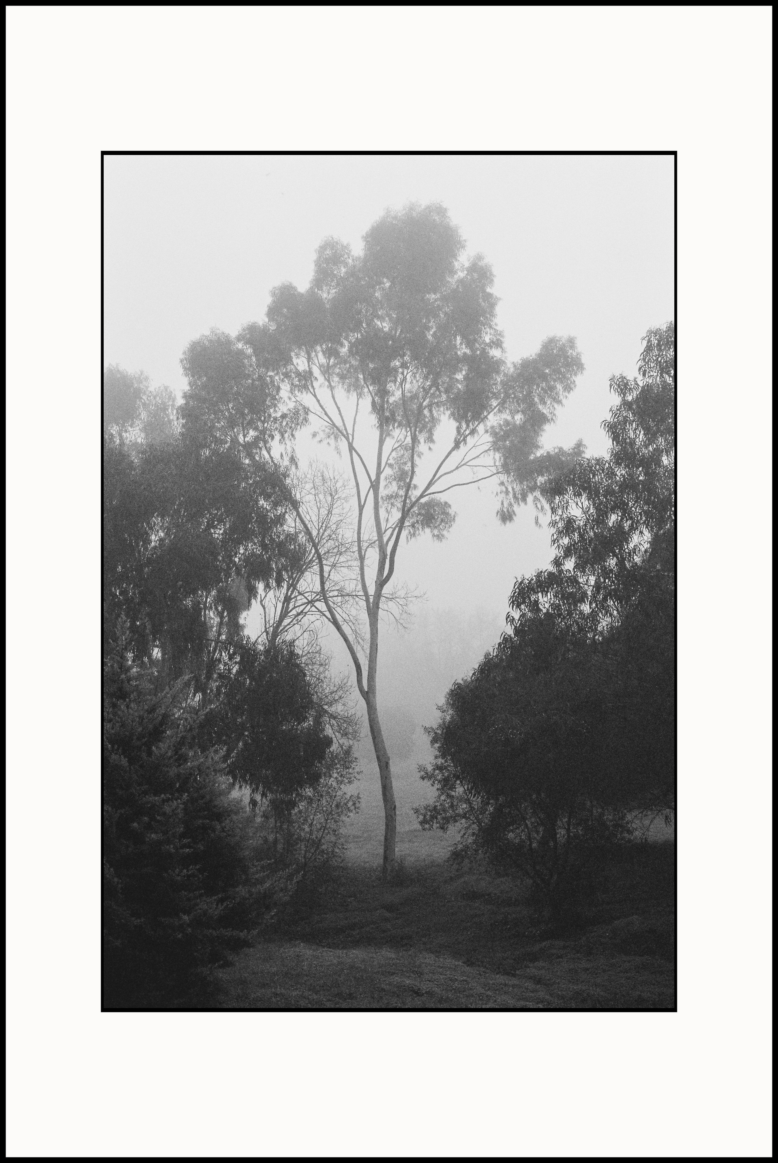 Prints. Katya Zimina, film photographer based in Lisbon, Portugal