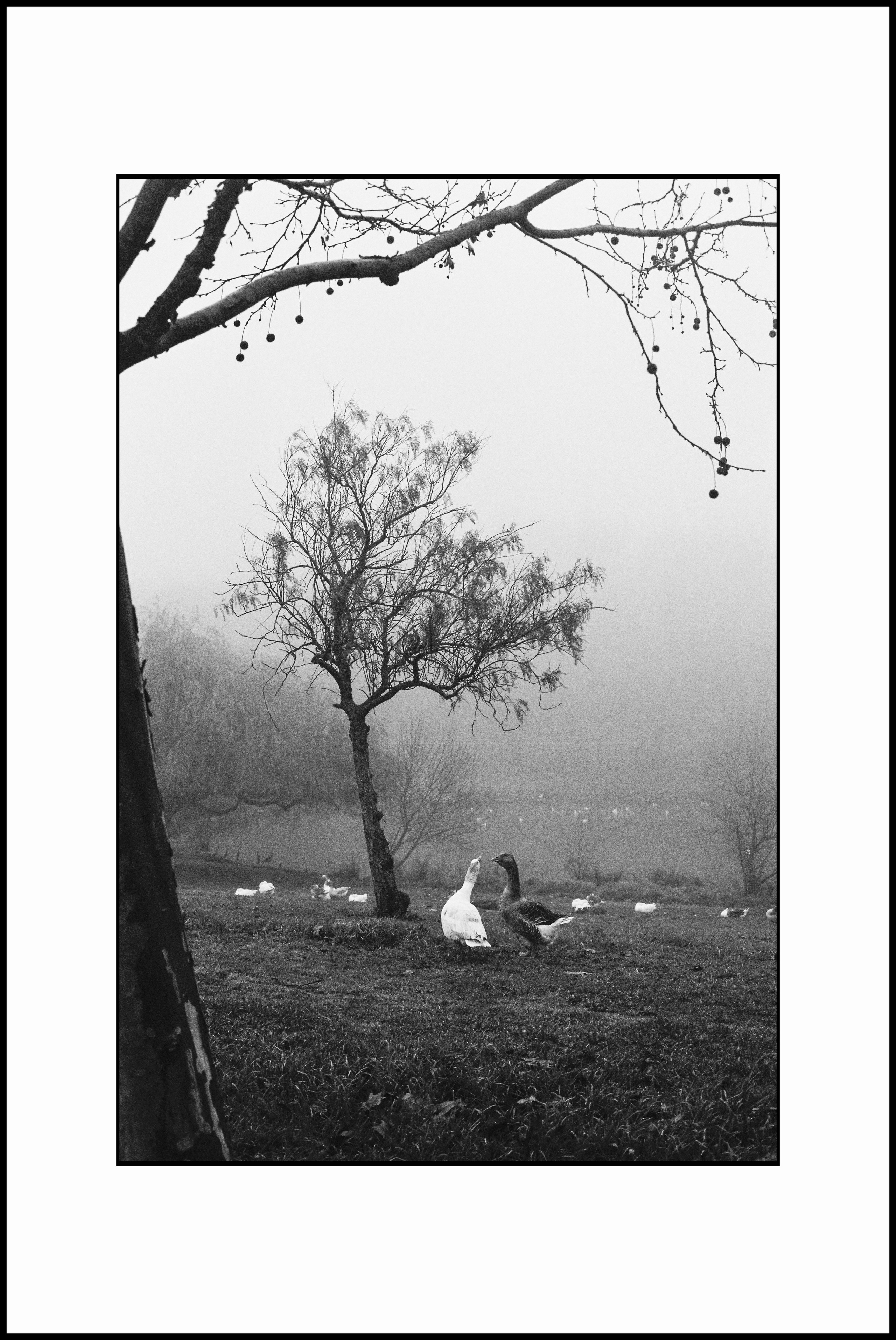 Prints. Katya Zimina, film photographer based in Lisbon, Portugal