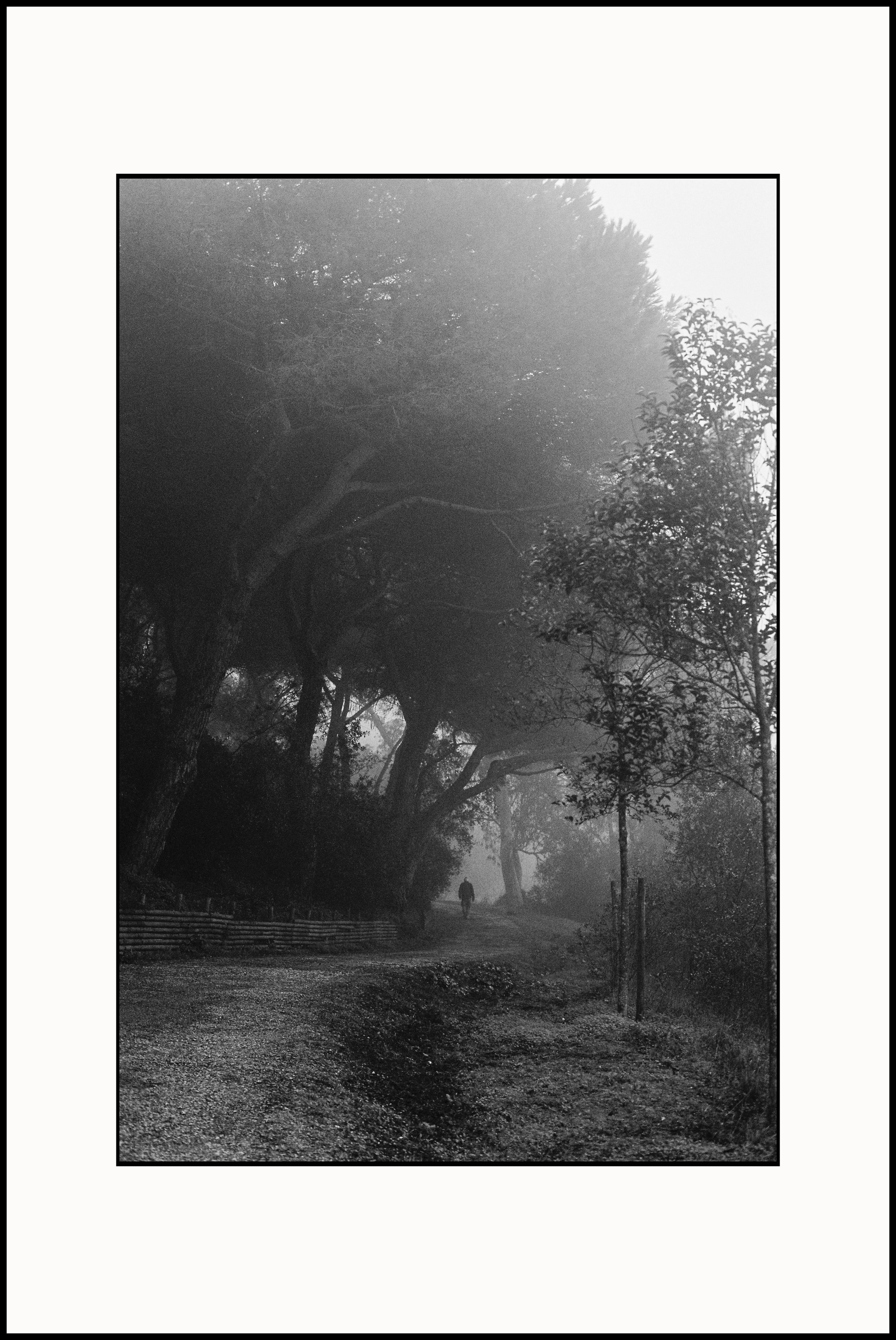 Prints. Katya Zimina, film photographer based in Lisbon, Portugal