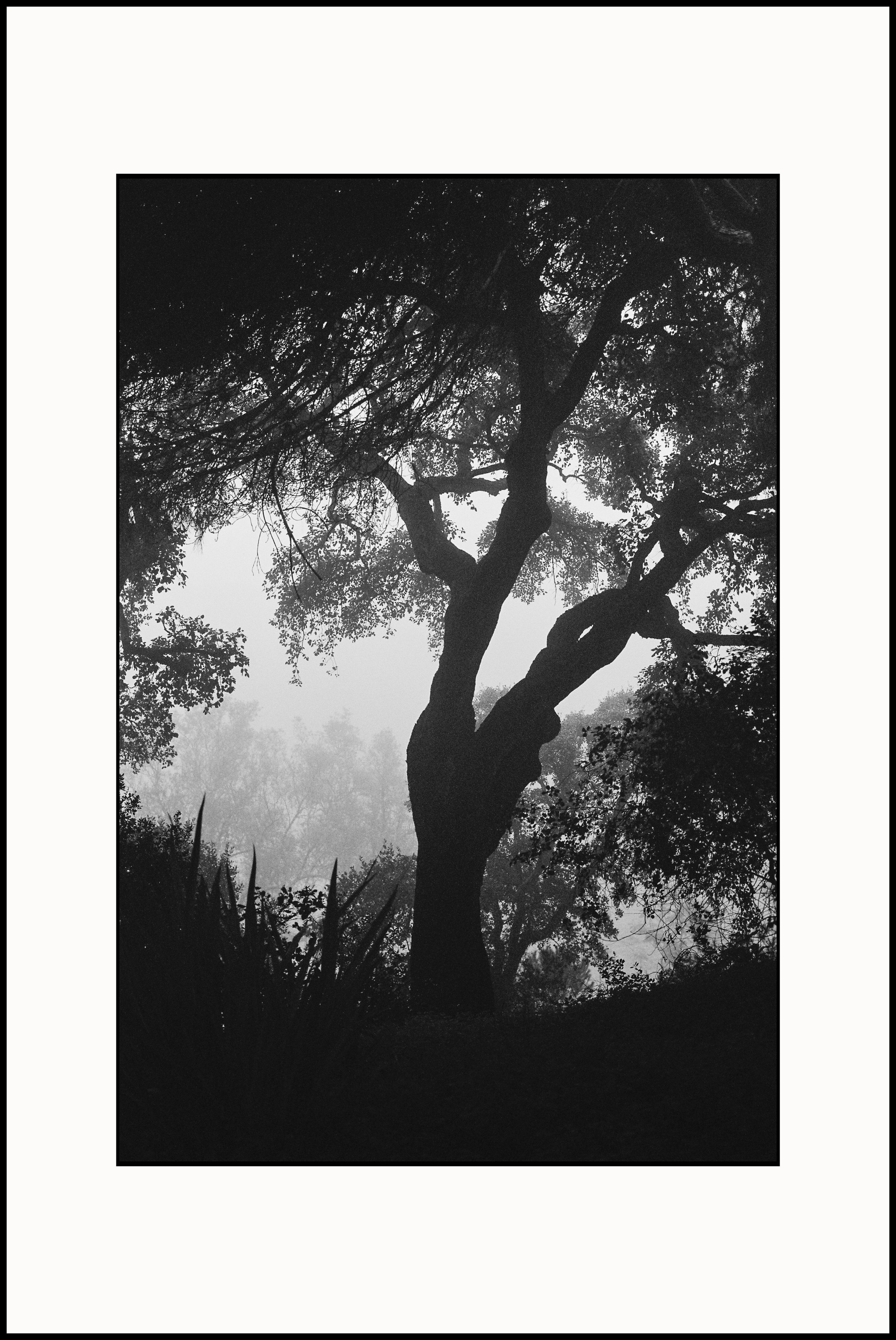 Prints. Katya Zimina, film photographer based in Lisbon, Portugal