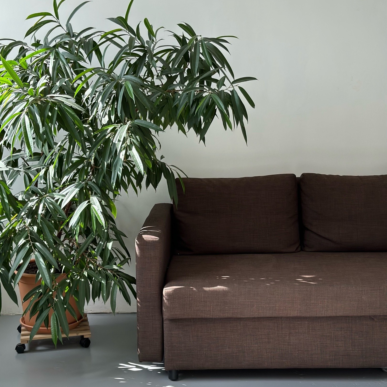 Фотостудии НН. Главная