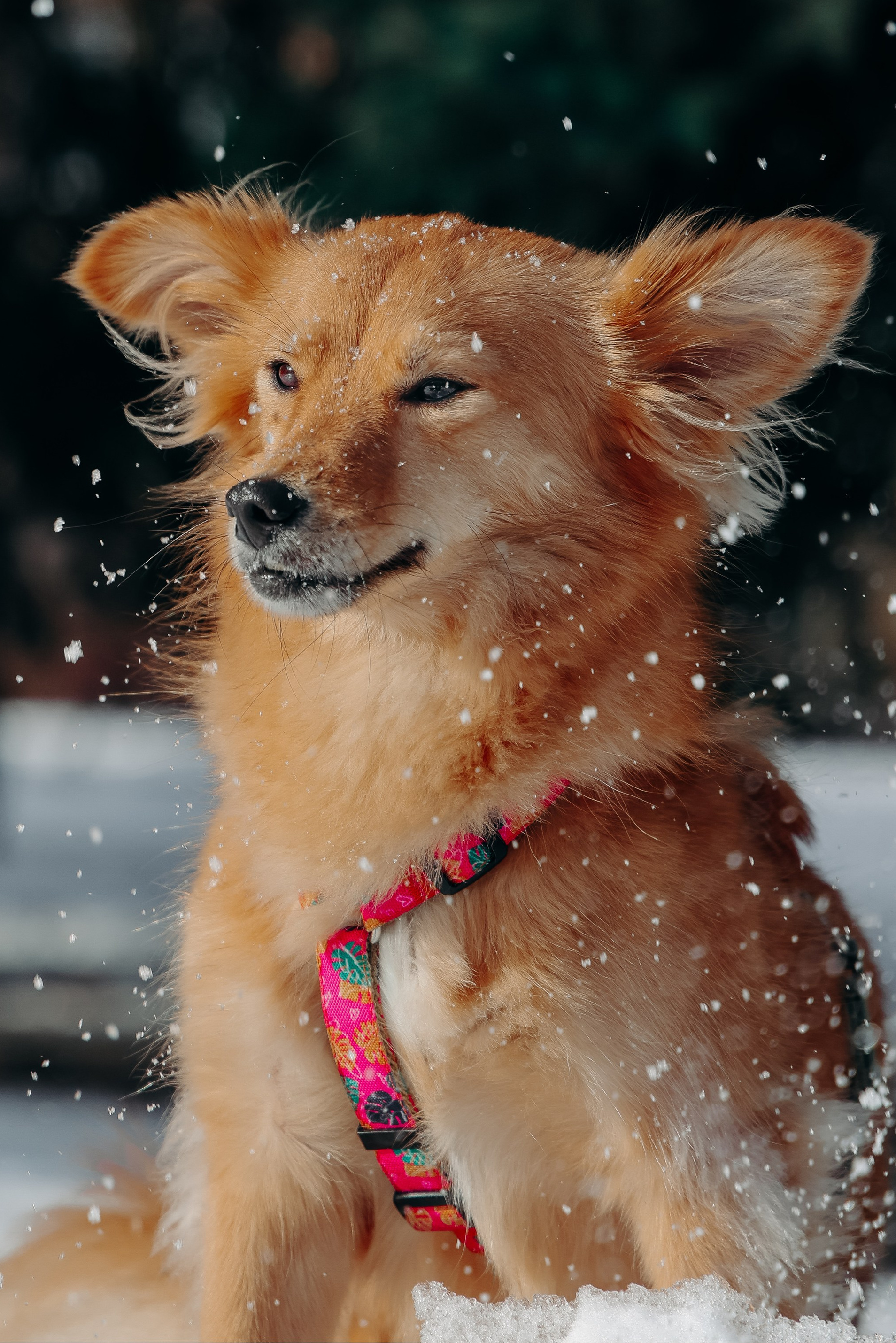 Валерия Гуртовая | Фотограф, Санкт-Петербург